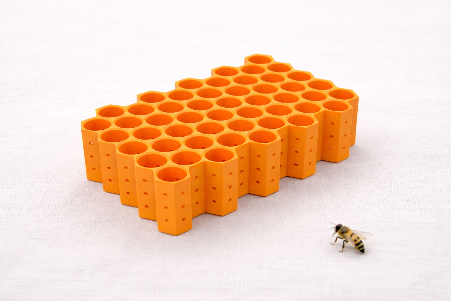 Queen Bee Cell Holder Product Image