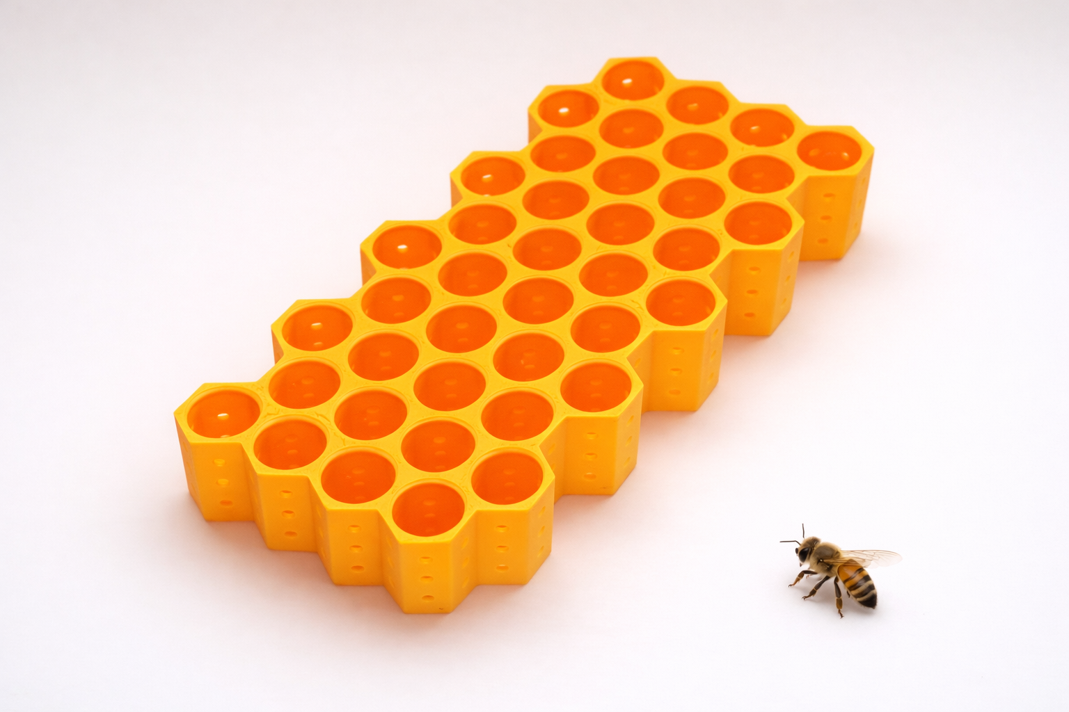 Queen Bee Cell Holder