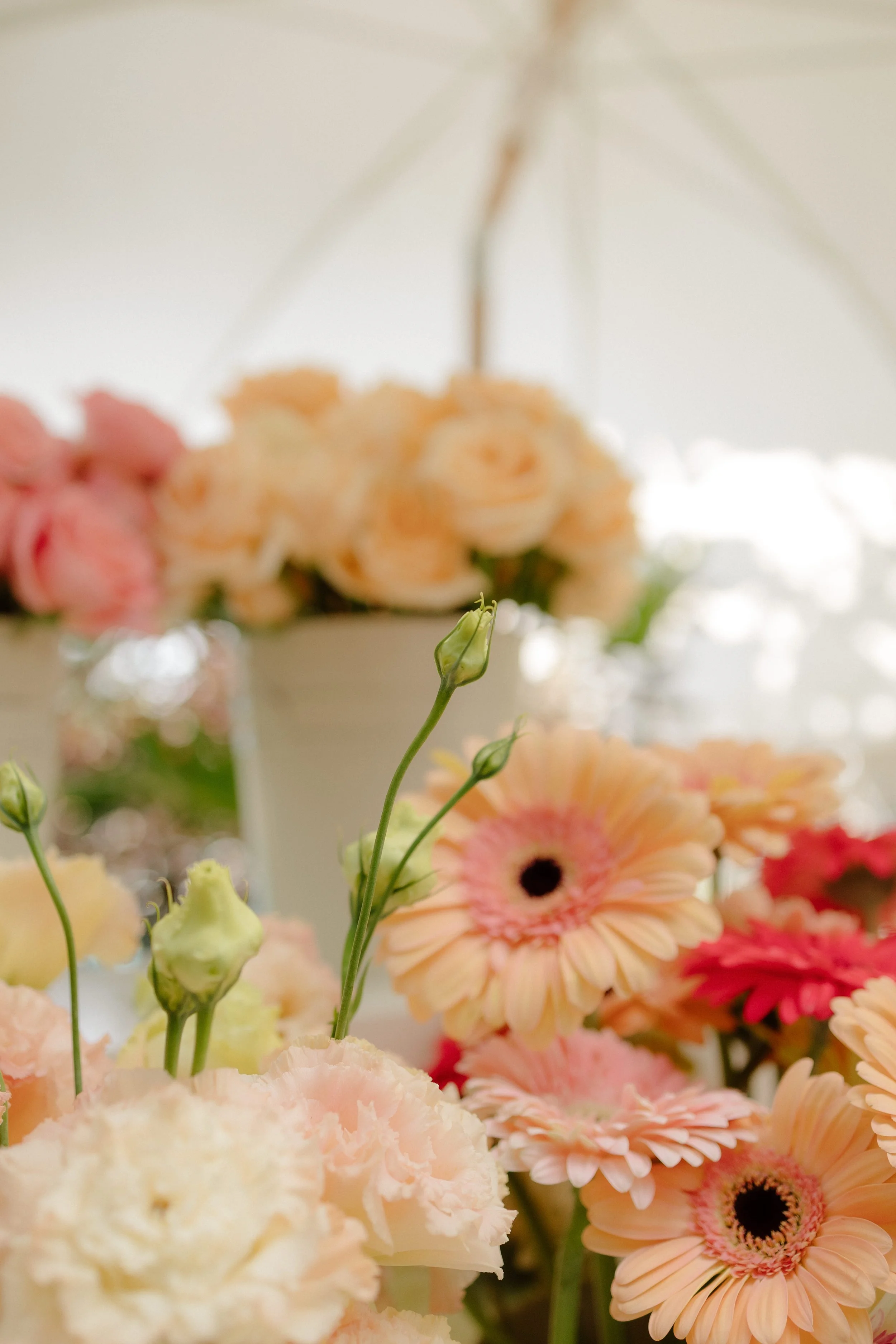 Bridal Shower Marissa-23.jpg (copia)