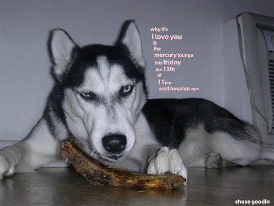 dirtydog.jpg