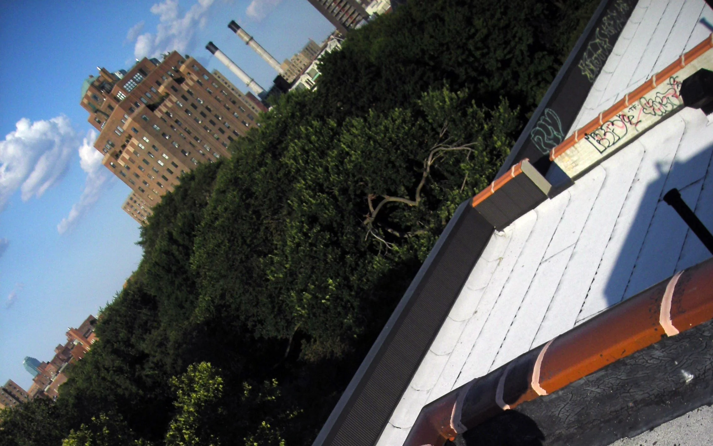 DSCN31835.jpg