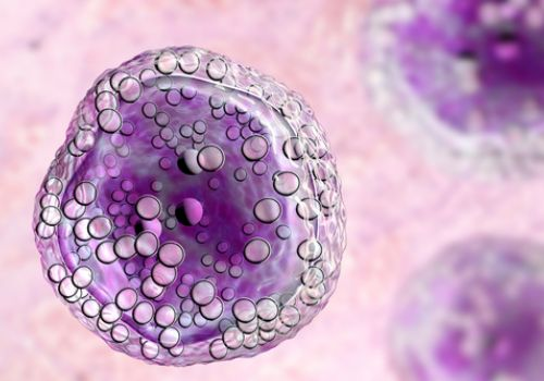 Cellular Biology