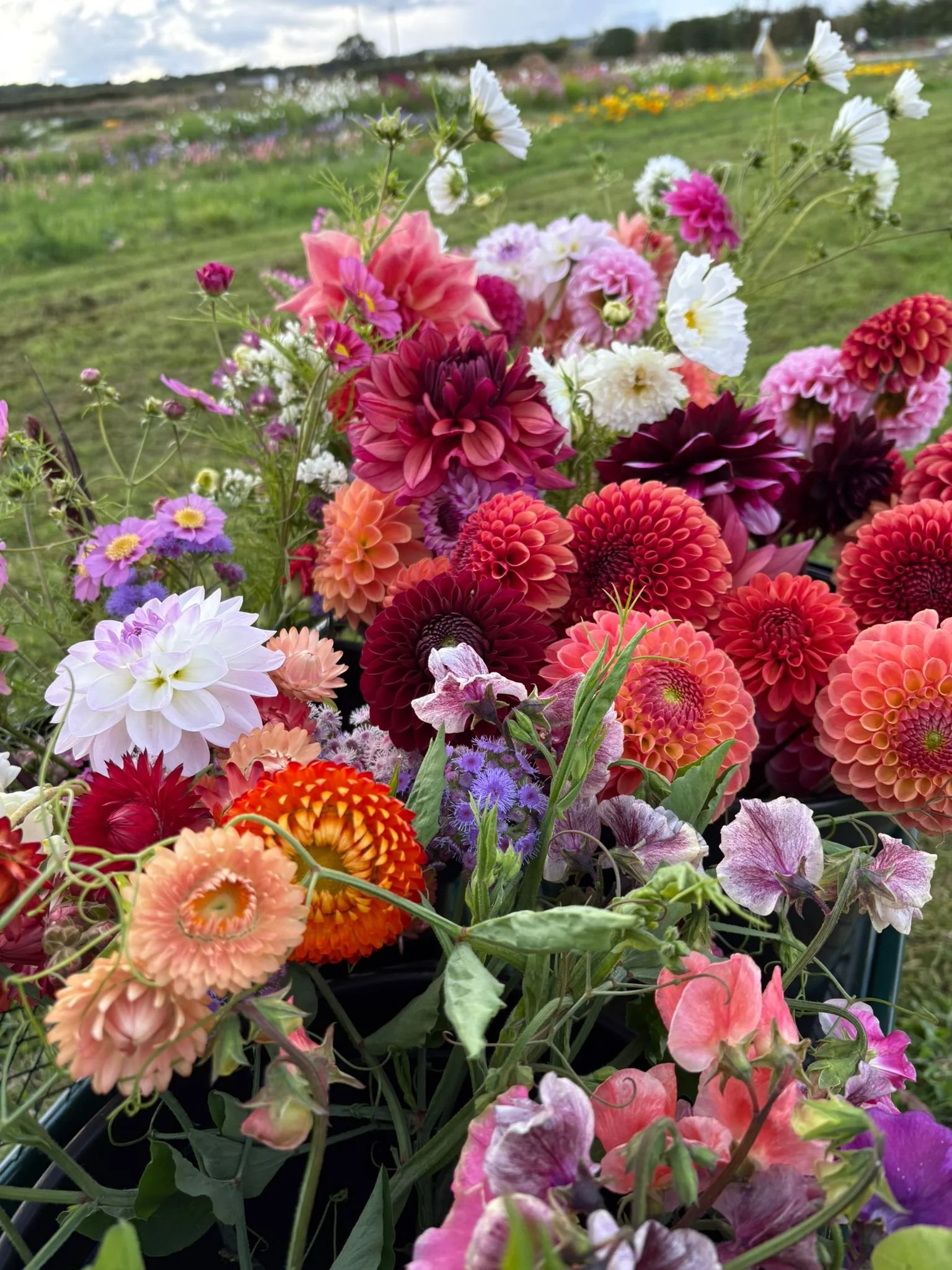 Private Wedding Flower Buckets