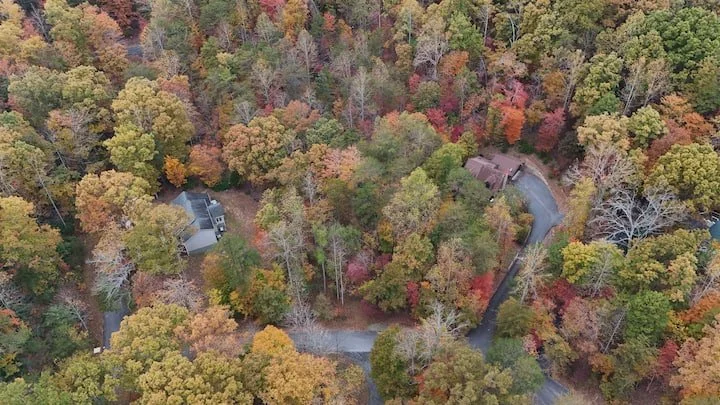 Aerial view of a winding road through a dense forest with trees in fall colors and a house situated among the trees.