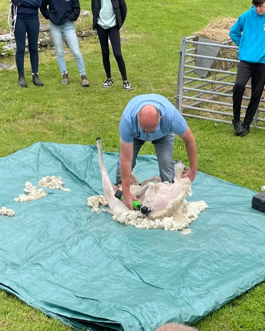 Shearing