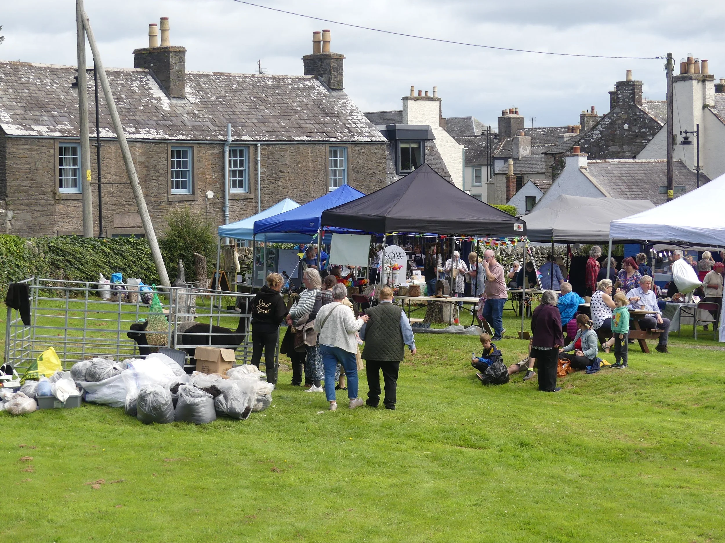 Eden Wool Gathering 2025
