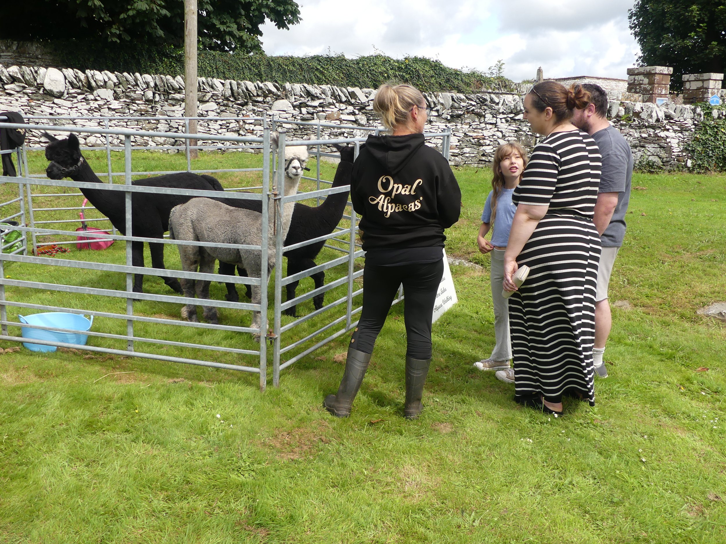 Eden Wool Gathering 2025