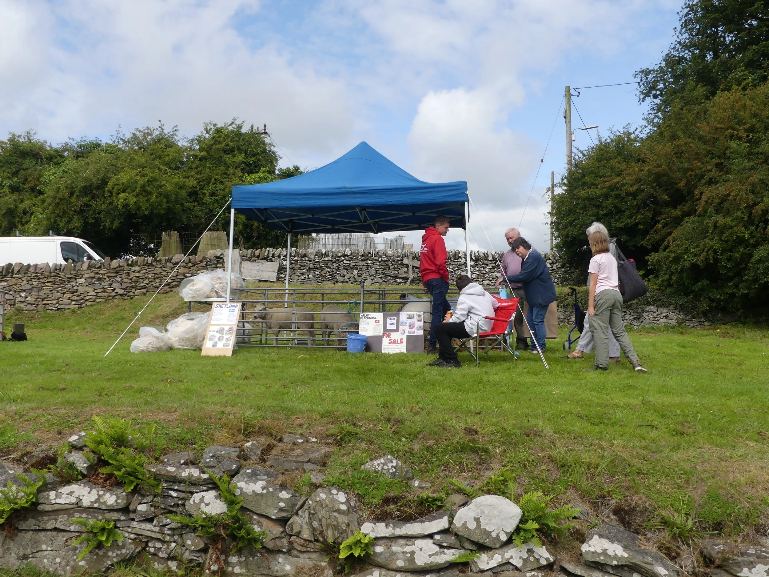 Eden Wool Gathering 2025