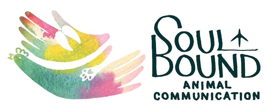 Colorful drawing of a rainbow-colored animal paw with the words "Soul Bound Animal Communication" beside it.