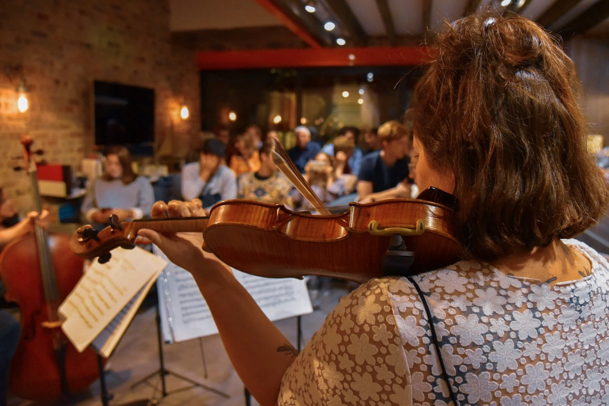A violinist in the foreground, performing a house concert with audience visible behind her