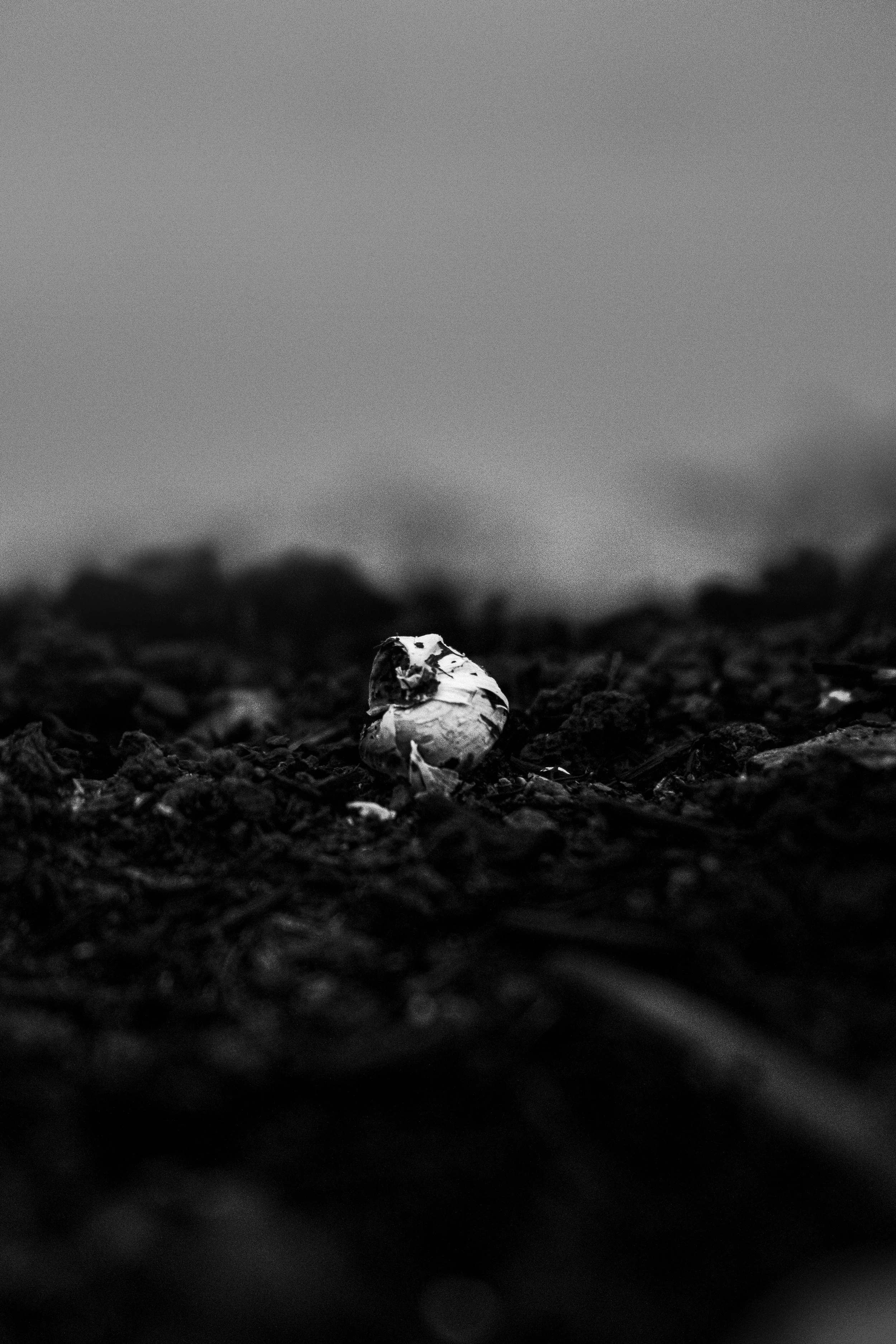 The hidden grants most uk charities never apply for