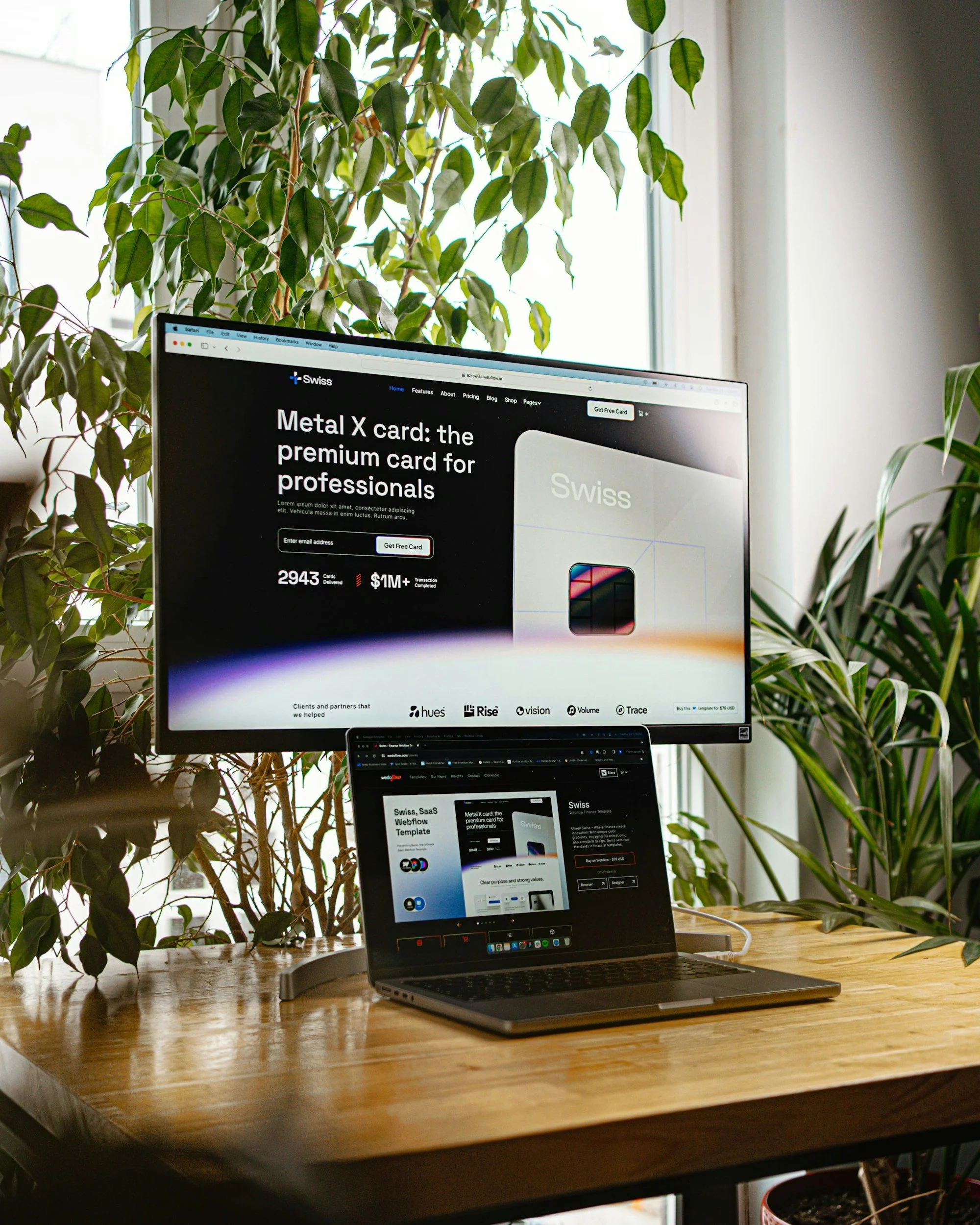 A computer monitor displays a website for Swiss Metal X card, a premium card for professionals, with a laptop showing a related webpage, on a wooden desk surrounded by green leafy plants near a window.