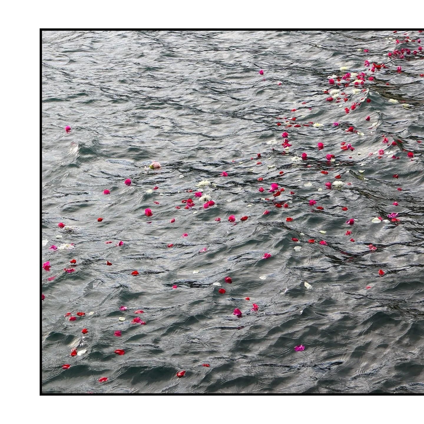 I knocked and the door opened
re: a deep wish to grow