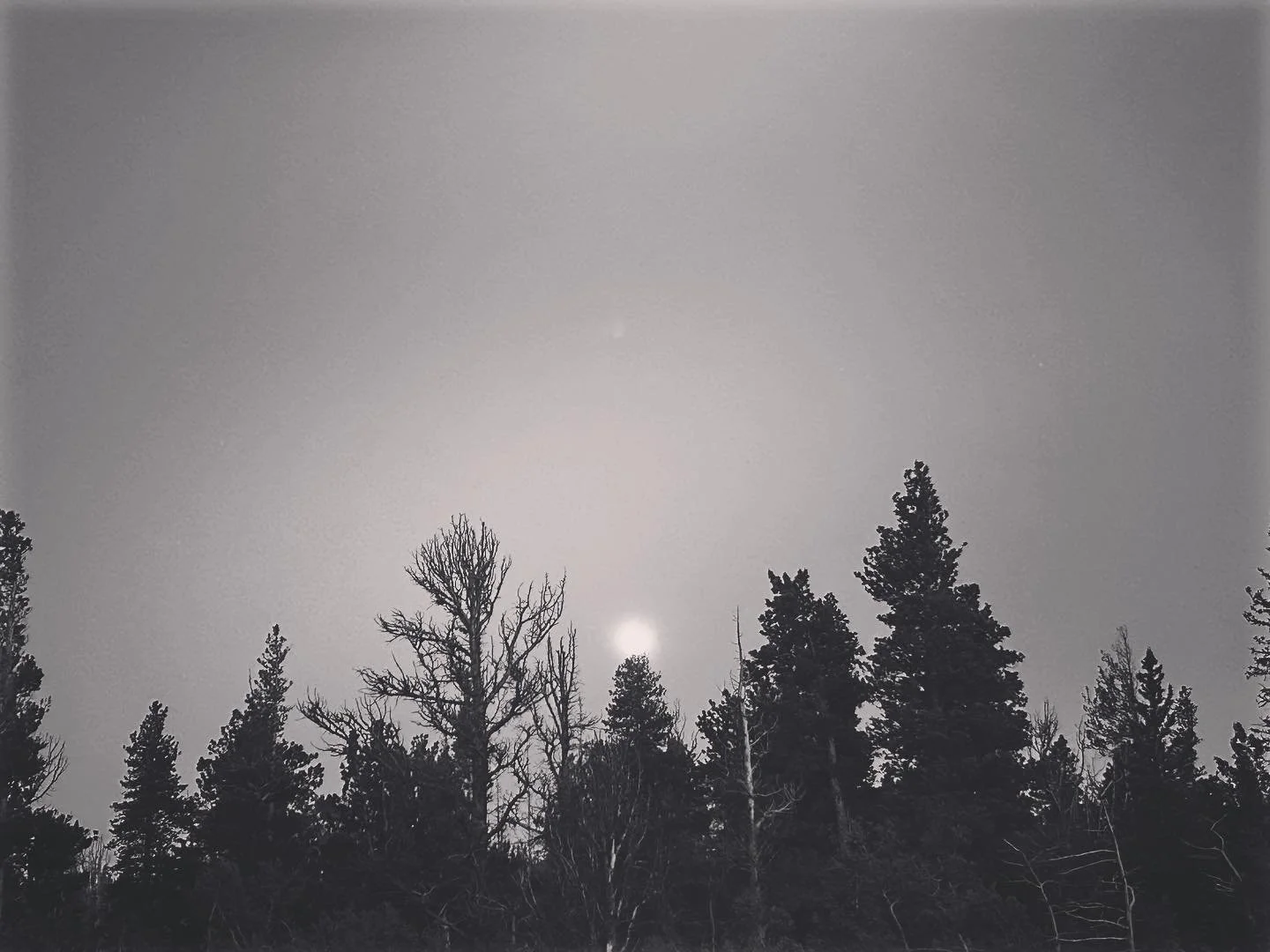 So simple in the moonlight