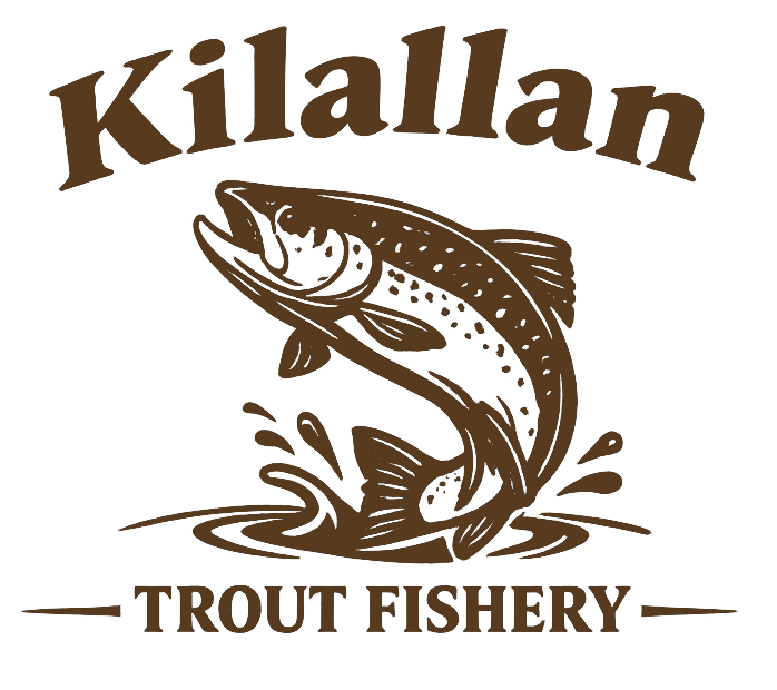 Logo for Kilallan Trout Fishery featuring a stylized trout jumping out of water.