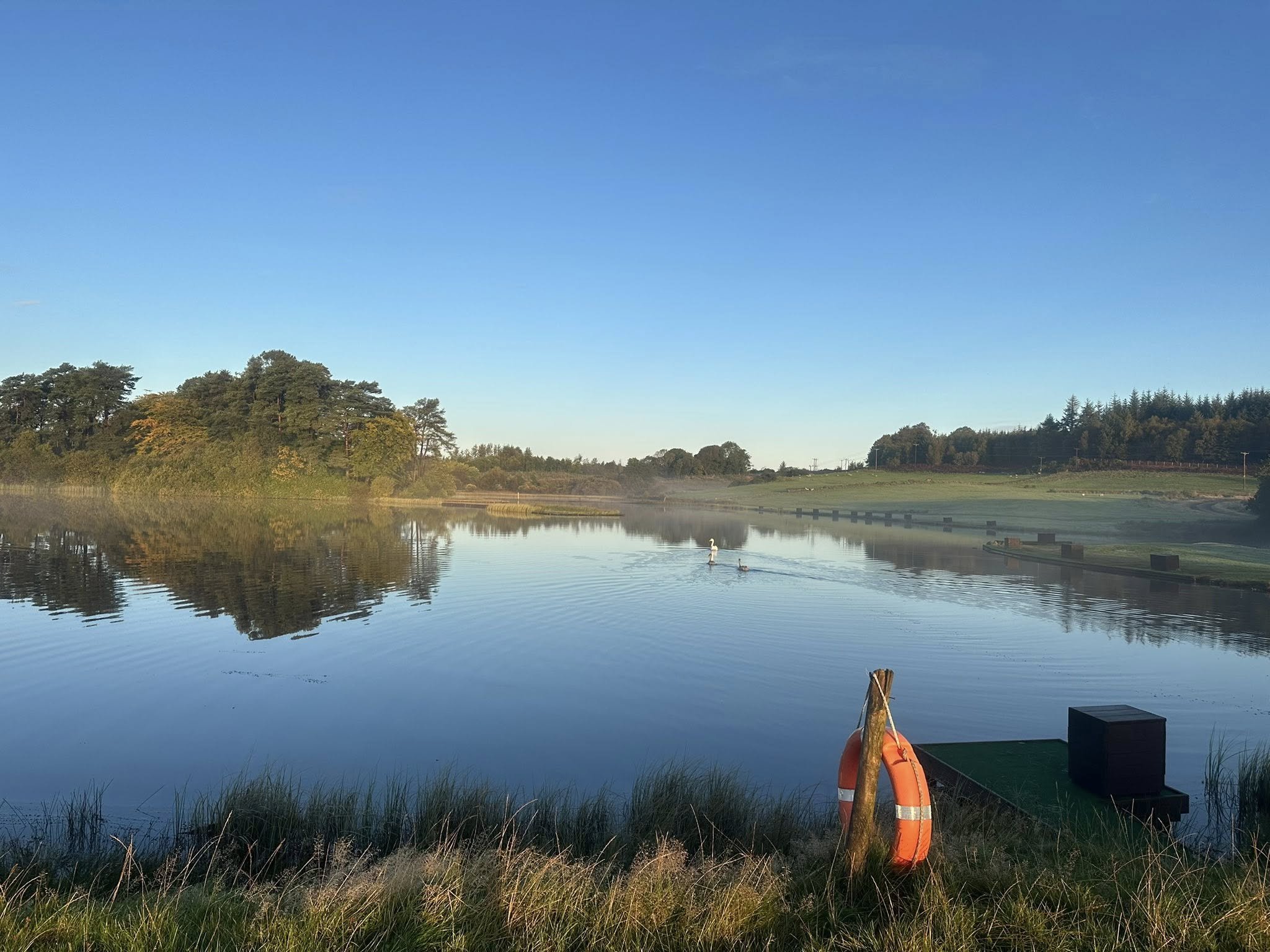 A calm river during early morning with a small boat and two swans, surrounded by trees and open greenery under a clear blue sky.
