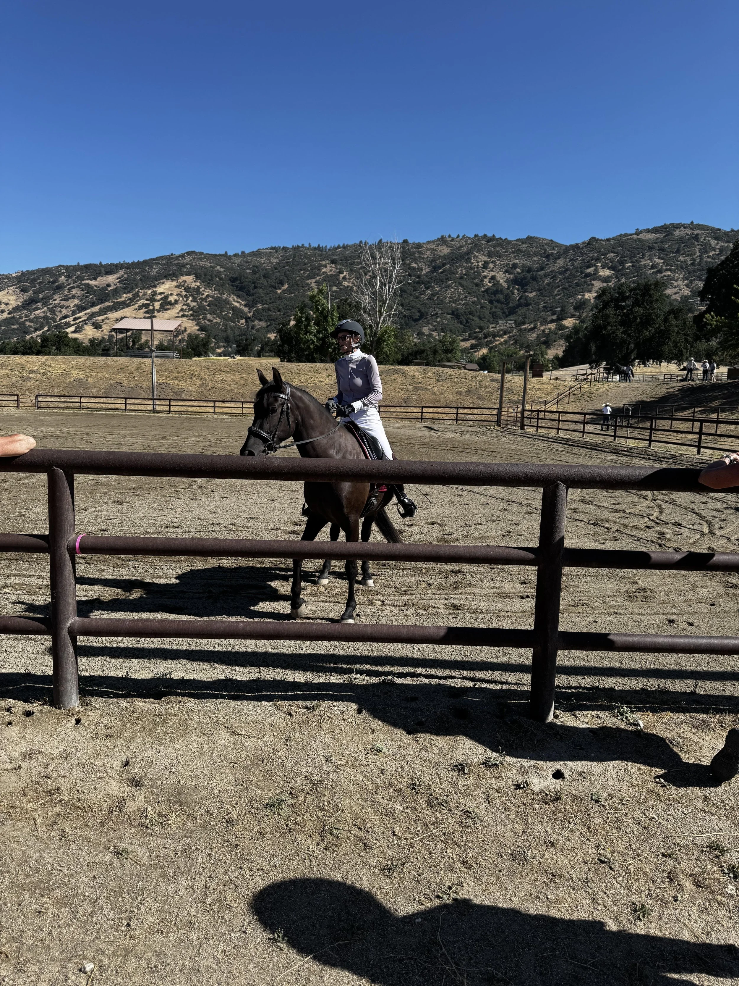 Vice Chair and trainer Betsy Shelton giving a lecture to the crowd during Bear Valley Spring's Day of the Horse event.