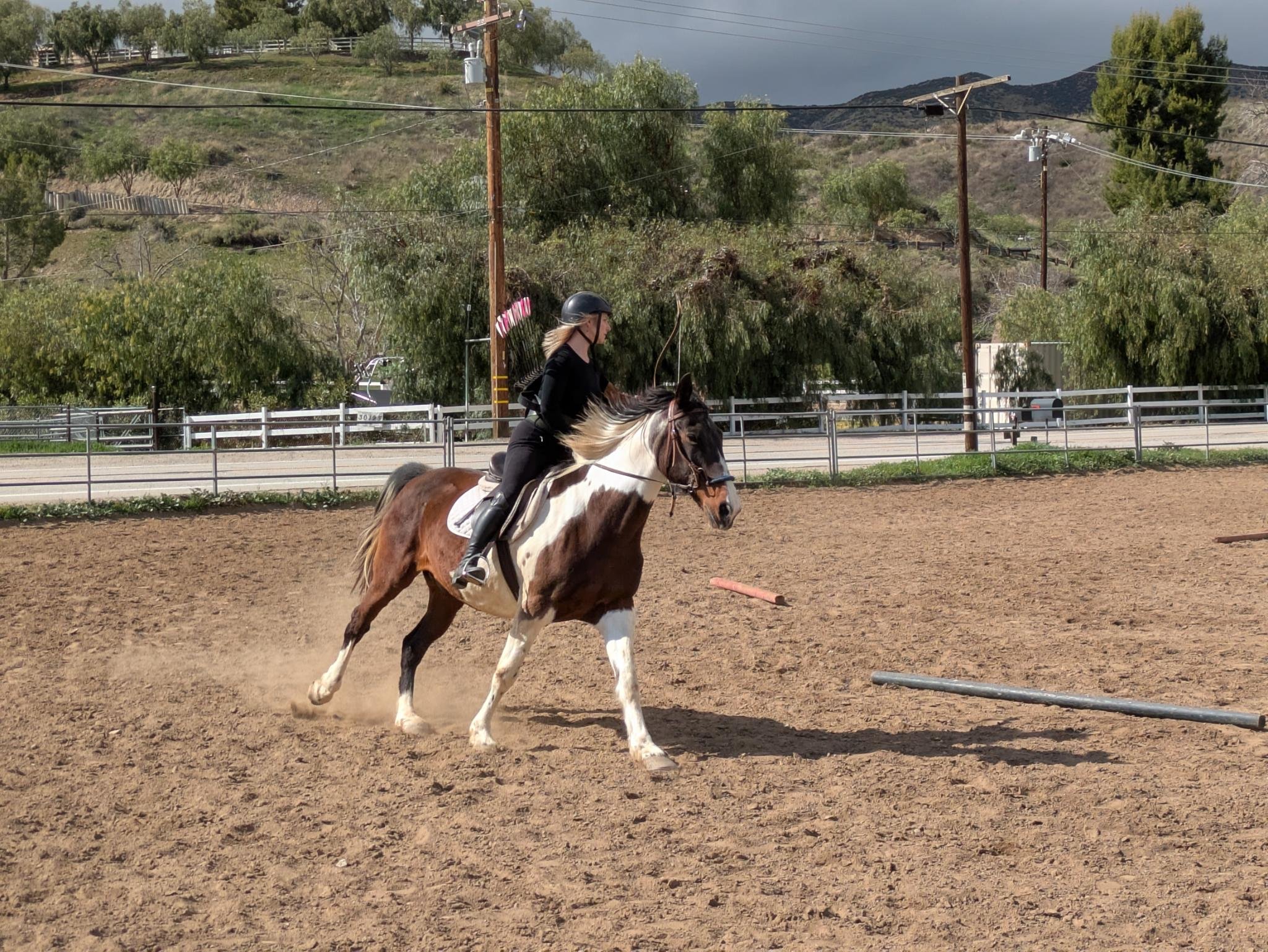 Dianne Kennedy serves as the Chapter Treasurer. An avid horsewoman since the age of five, she has explored nearly every equestrian discipline, though today she focuses on jumpers, eventing, and mounted archery. While dressage remains her most challen