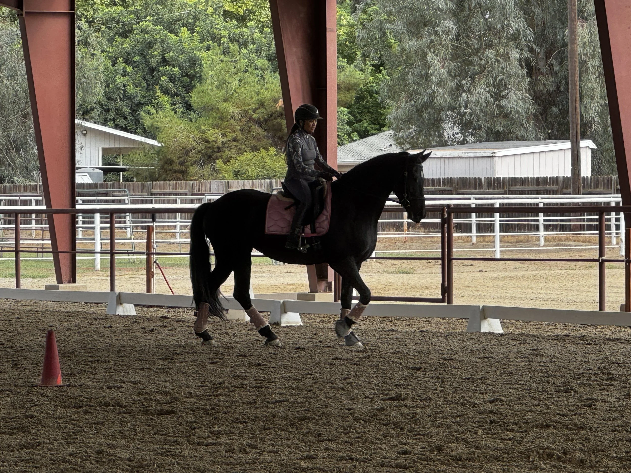 jessica riding clinic.jpg