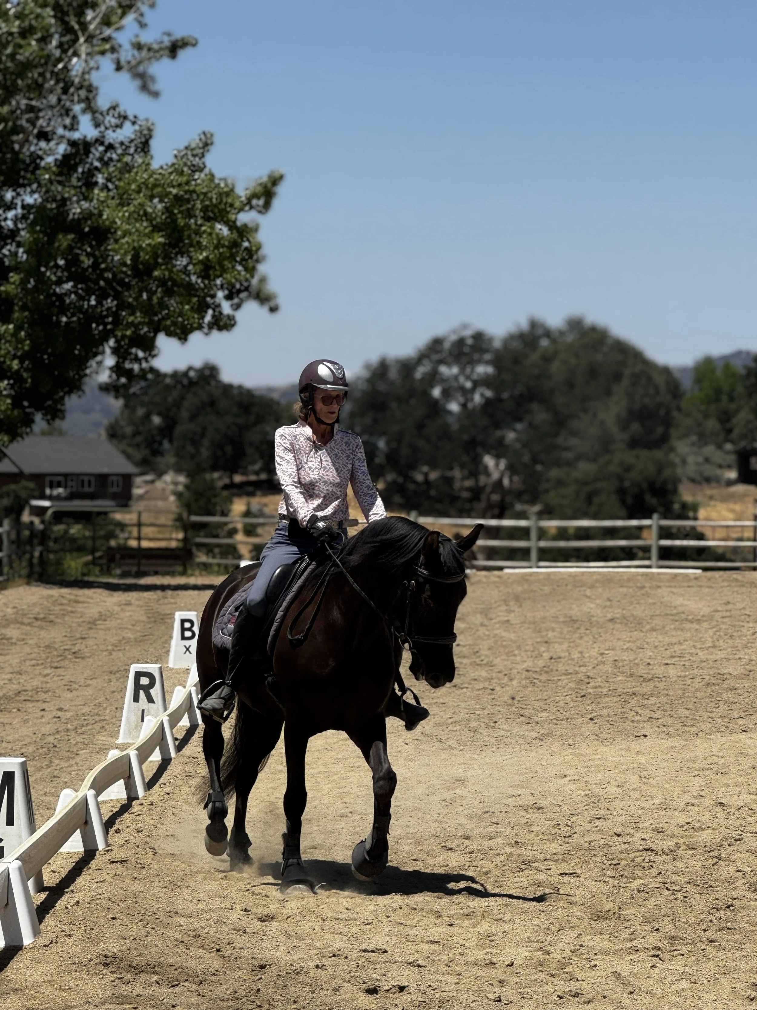 "I am on the Board of TMC, to support our team and support Dressage in Kern County. Dressage is the
foundation of all riding disciplines, so the need to have an active Dressage community is imperative. I
have had exposure to all activities within CDS