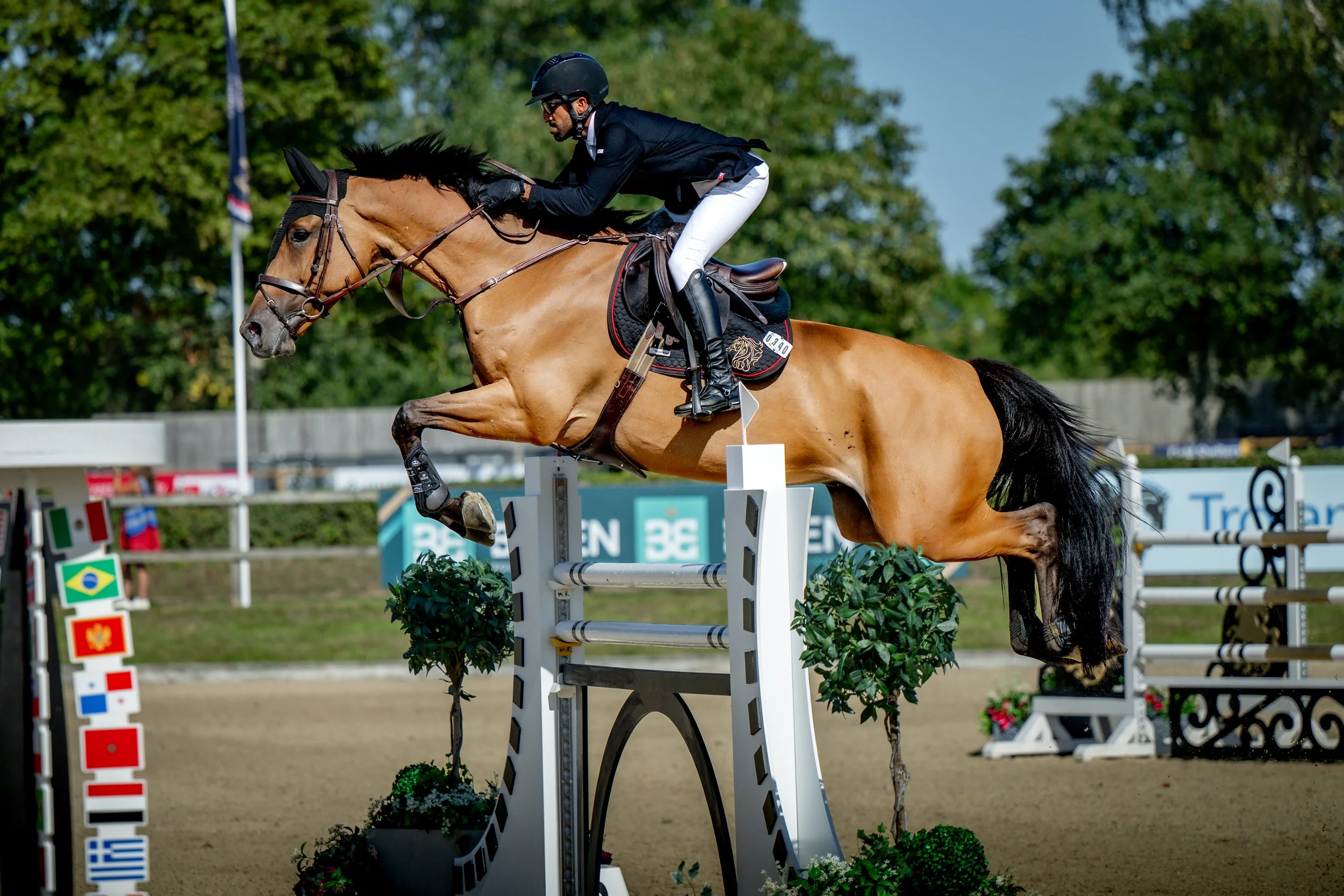 SUNDAY_ALSHIRAAAYOUNGHORSE©HelenCruden2025-98.jpg