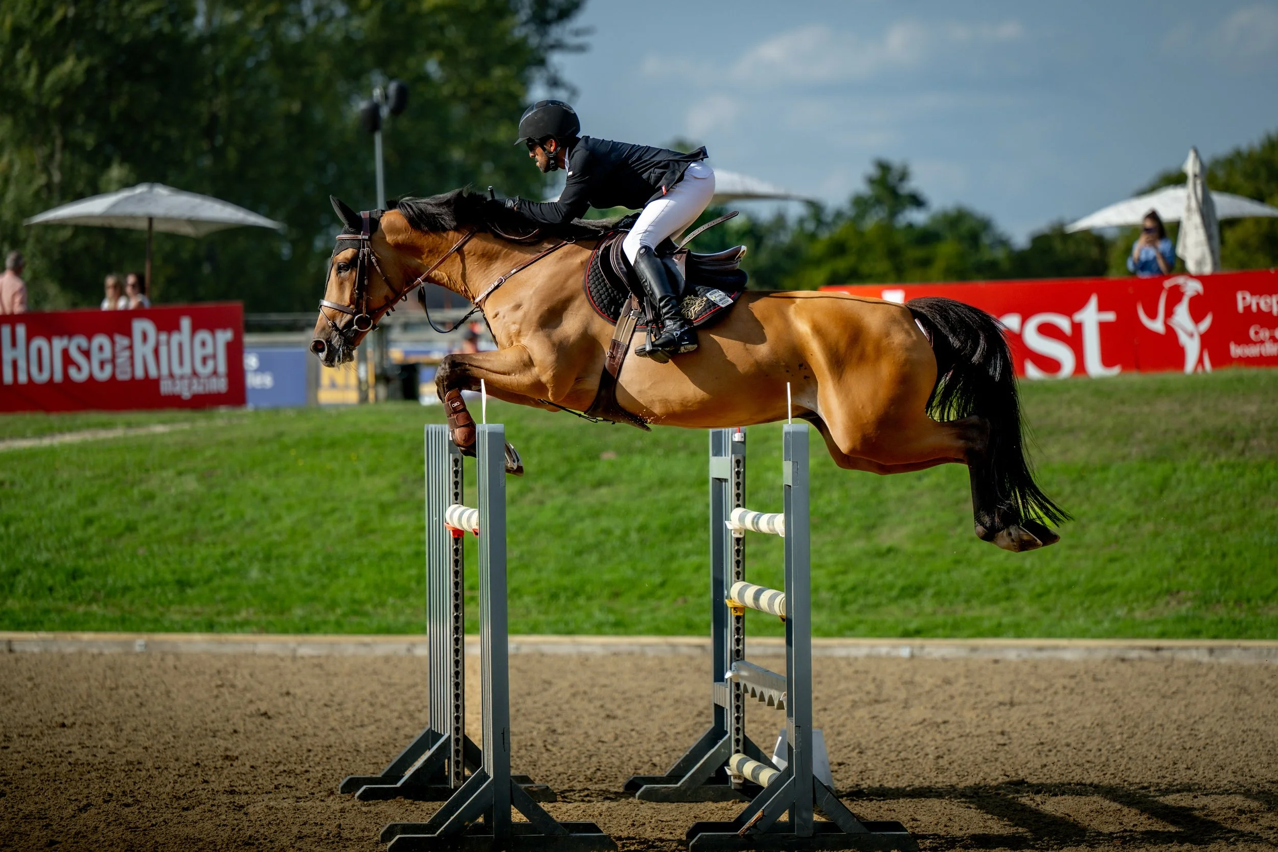 FRIDAY_ALSHIRAAAYOUNGHORSE©HelenCruden2025-76.jpg