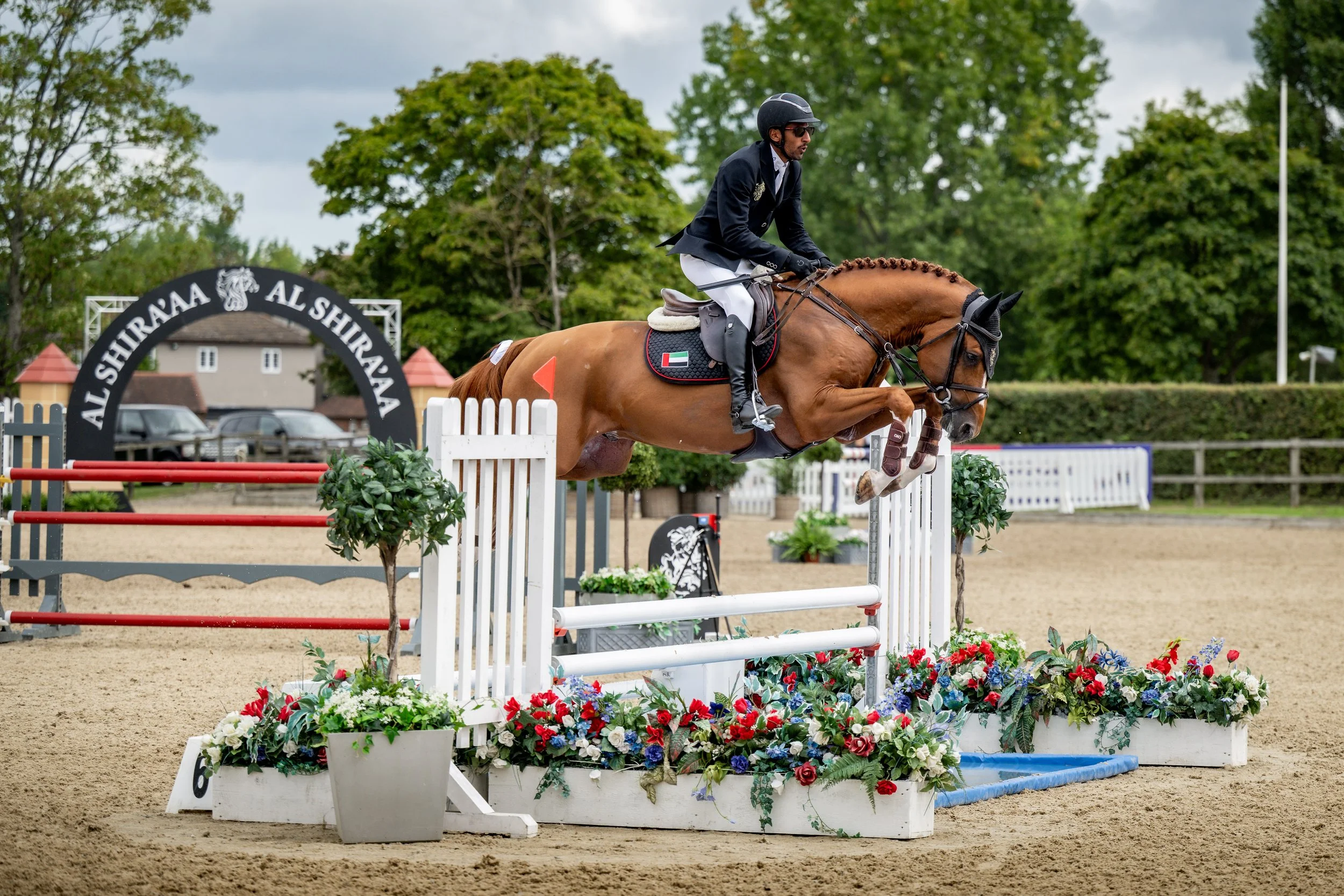THURS_ALSHIRAAAYOUNGHORSE©HelenCruden2025-31.jpg