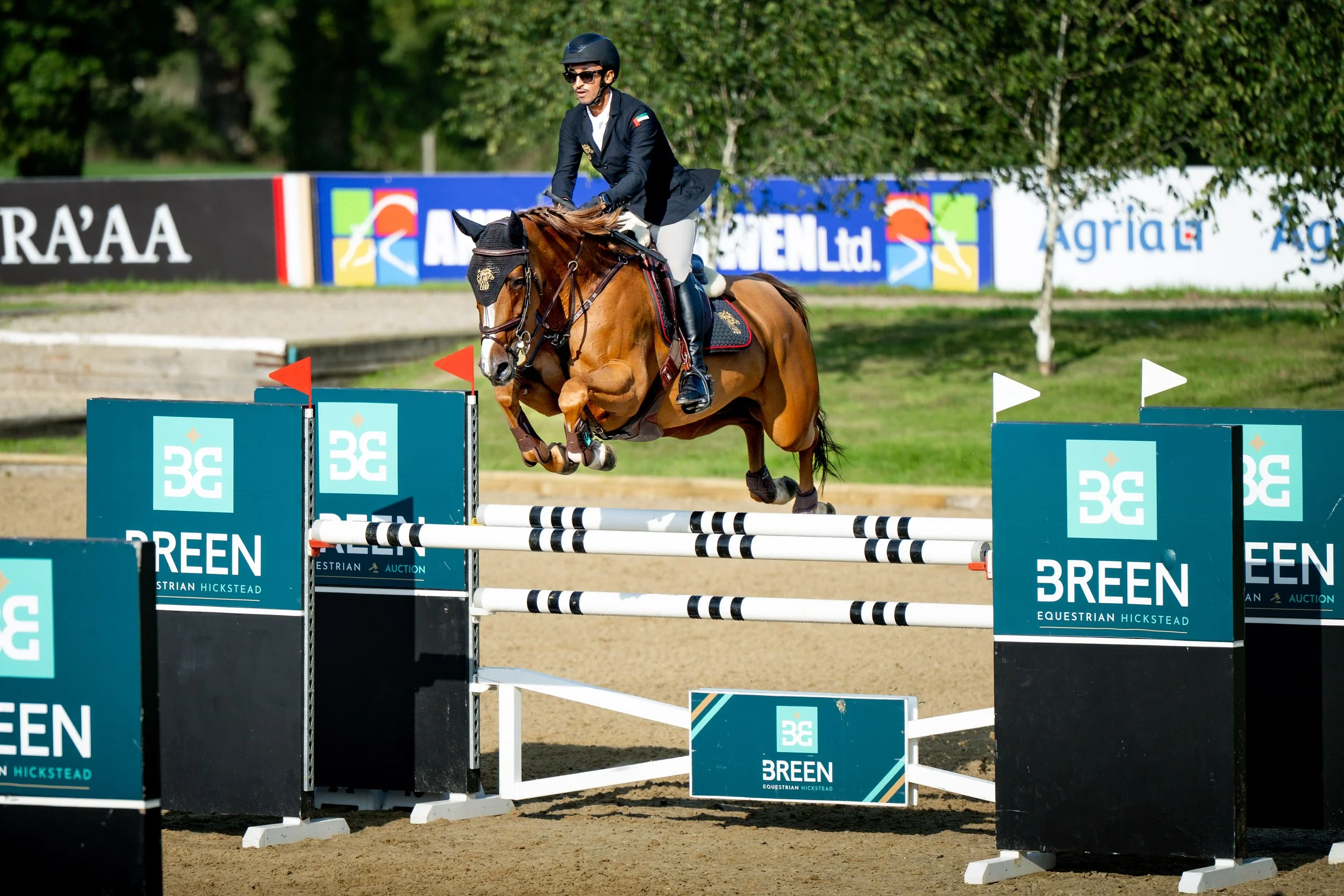 FRIDAY_ALSHIRAAAYOUNGHORSE©HelenCruden2025-27.jpg