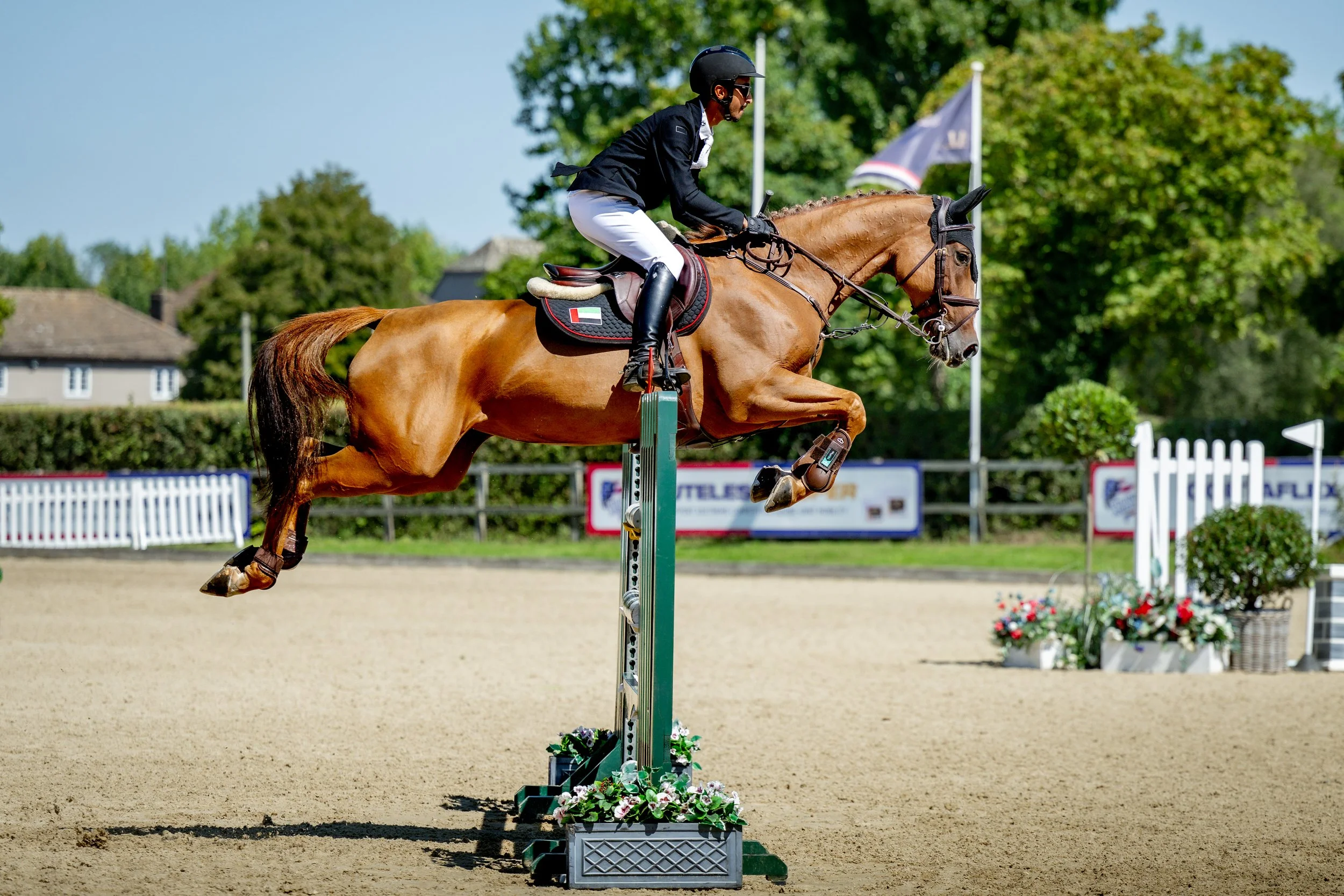 SUNDAY_ALSHIRAAAYOUNGHORSE©HelenCruden2025-61.jpg