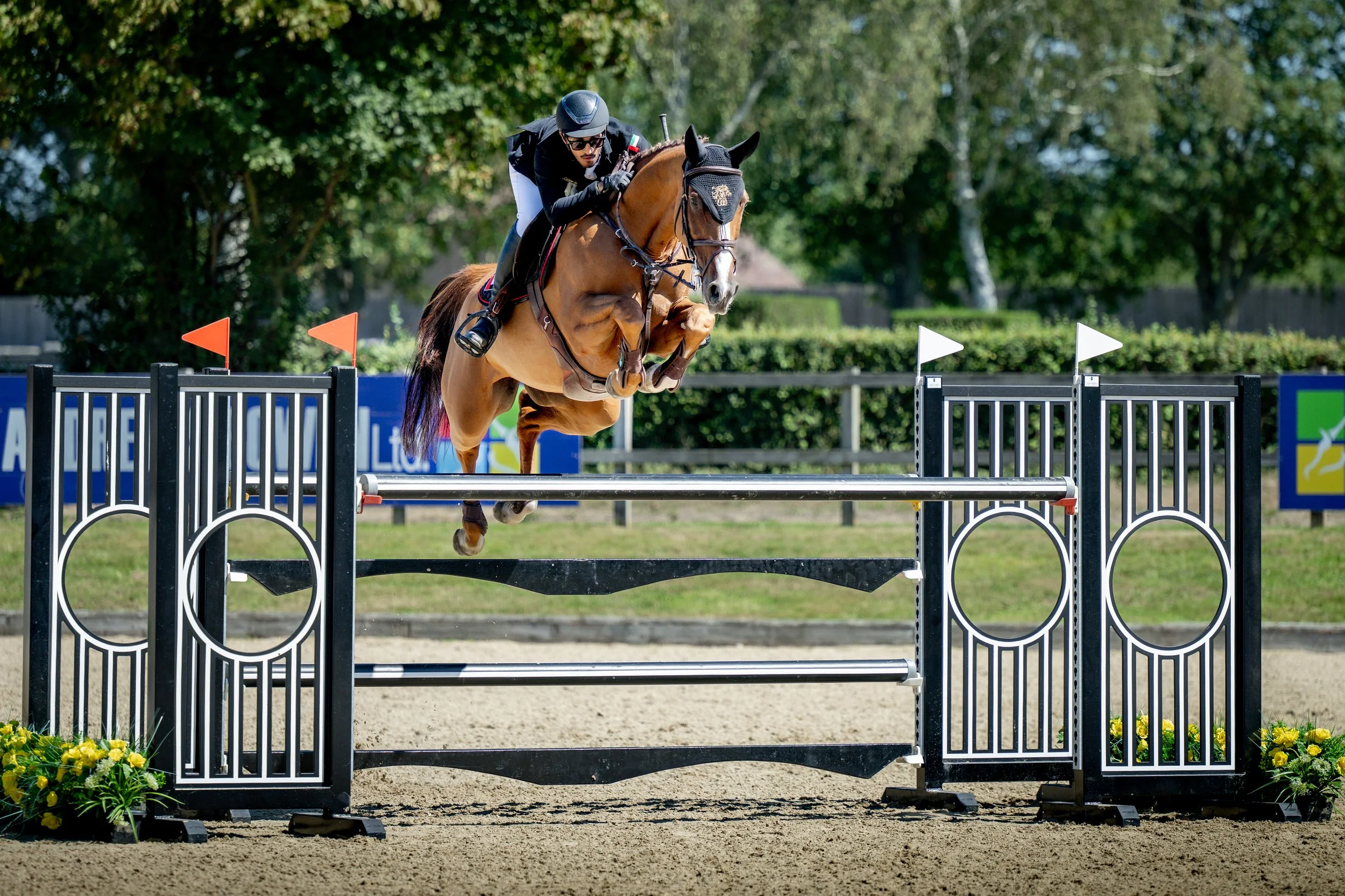 SUNDAY_ALSHIRAAAYOUNGHORSE©HelenCruden2025-63.jpg