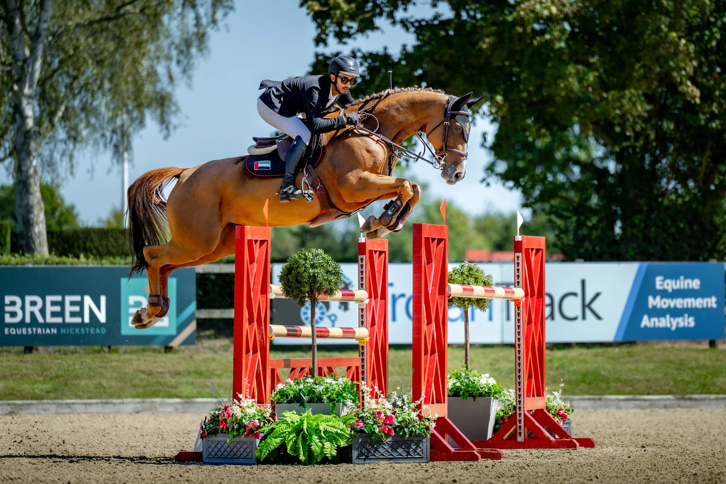 SUNDAY_ALSHIRAAAYOUNGHORSE©HelenCruden2025-68.jpg