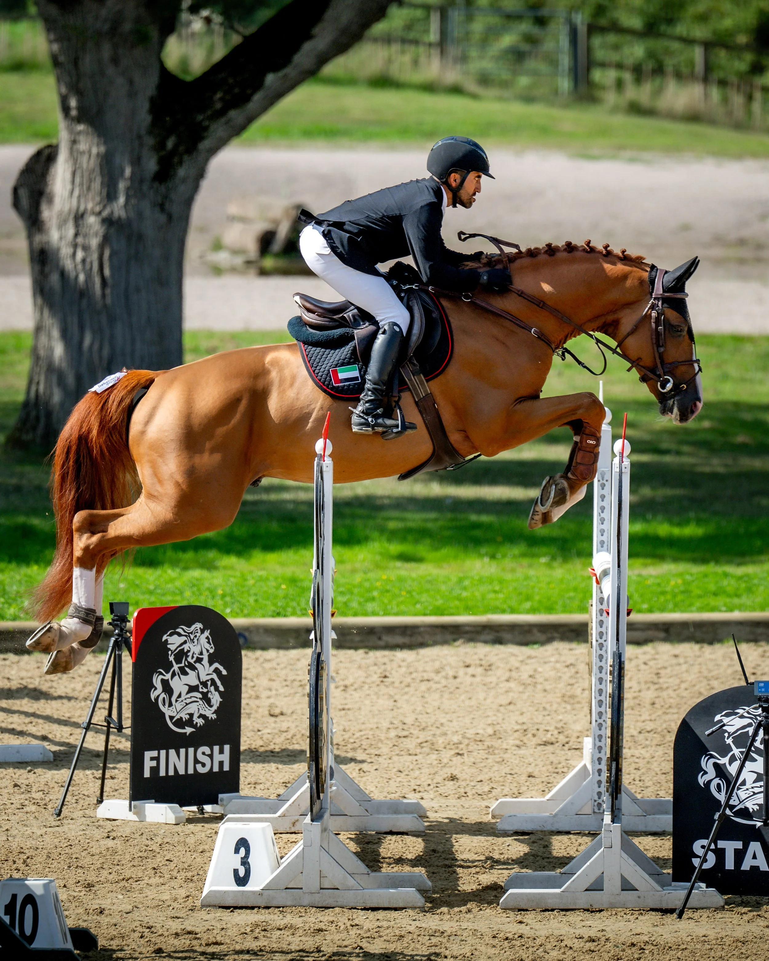 FRIDAY_ALSHIRAAAYOUNGHORSE©HelenCruden2025-44.jpg