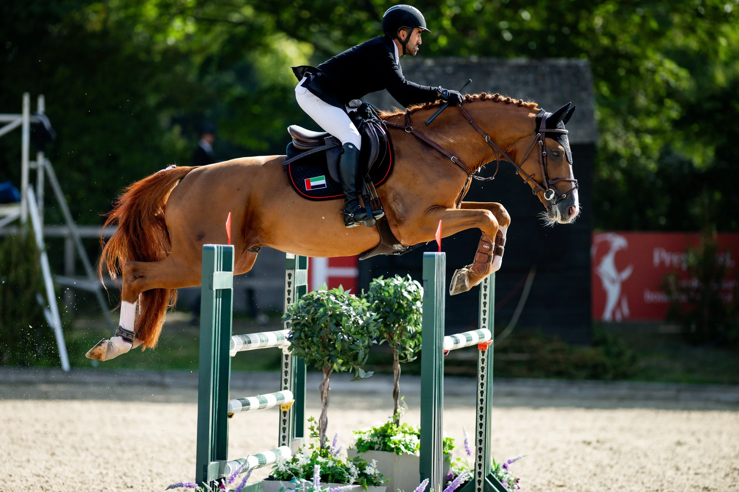 THURS_ALSHIRAAAYOUNGHORSE©HelenCruden2025-6.jpg