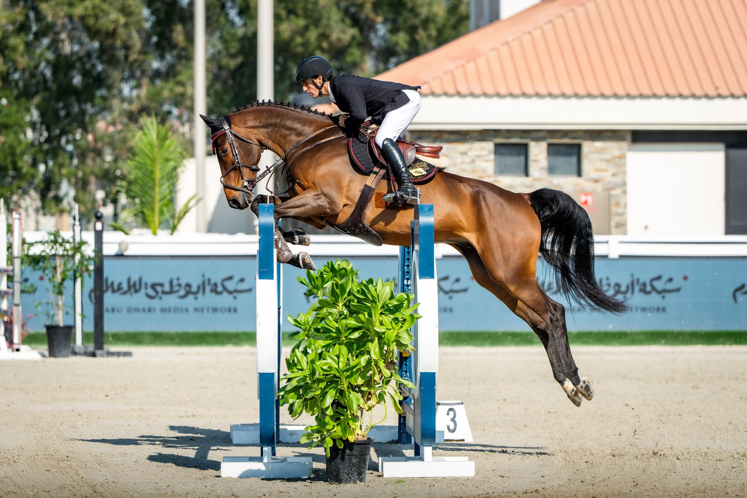 ALSHIRAAA_WED_FBMA©HelenCruden2026-15.jpg