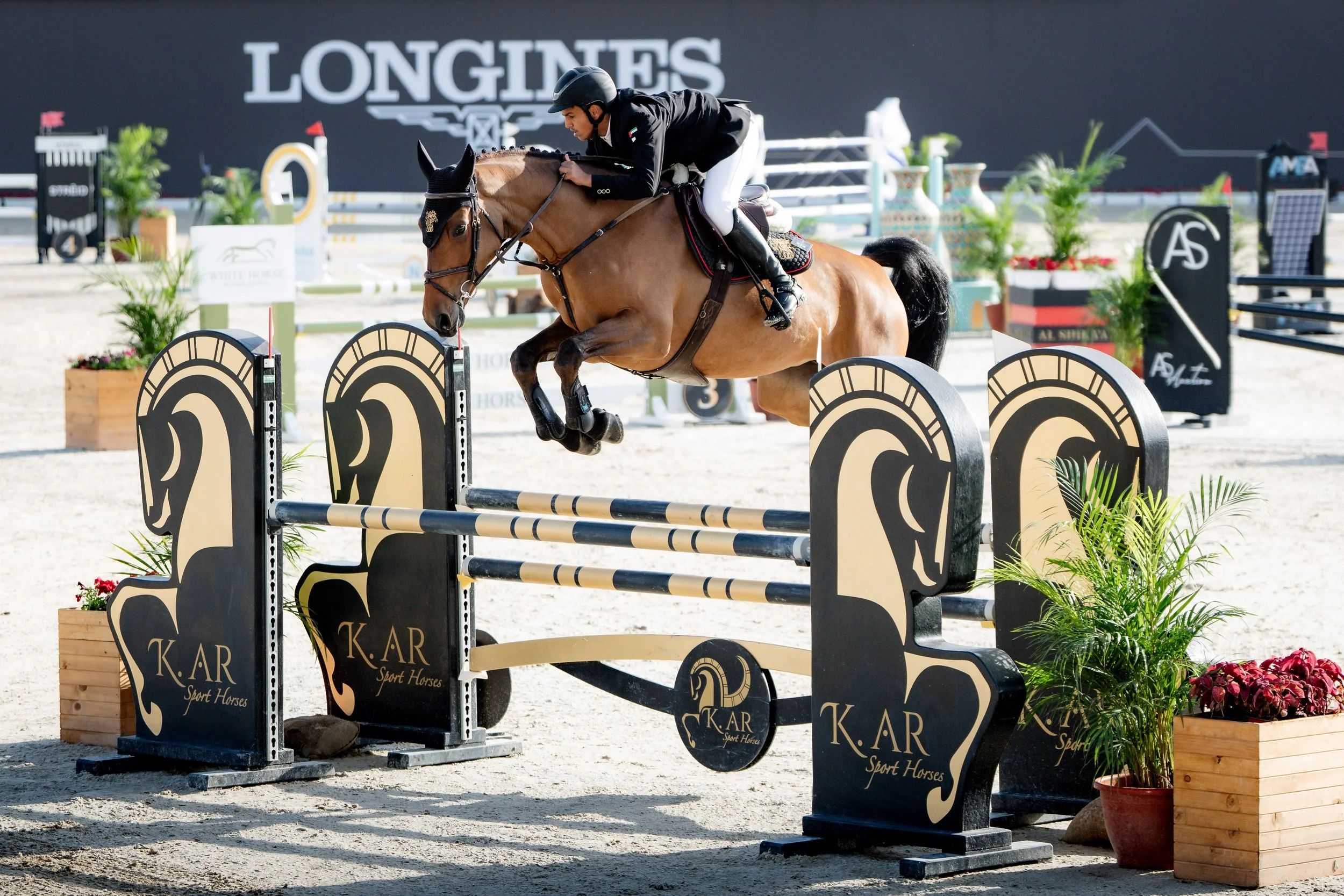 6yr_FINAL_SAT_ALSHIRA'AAHORSESHOW©HelenCruden2026-4.jpg