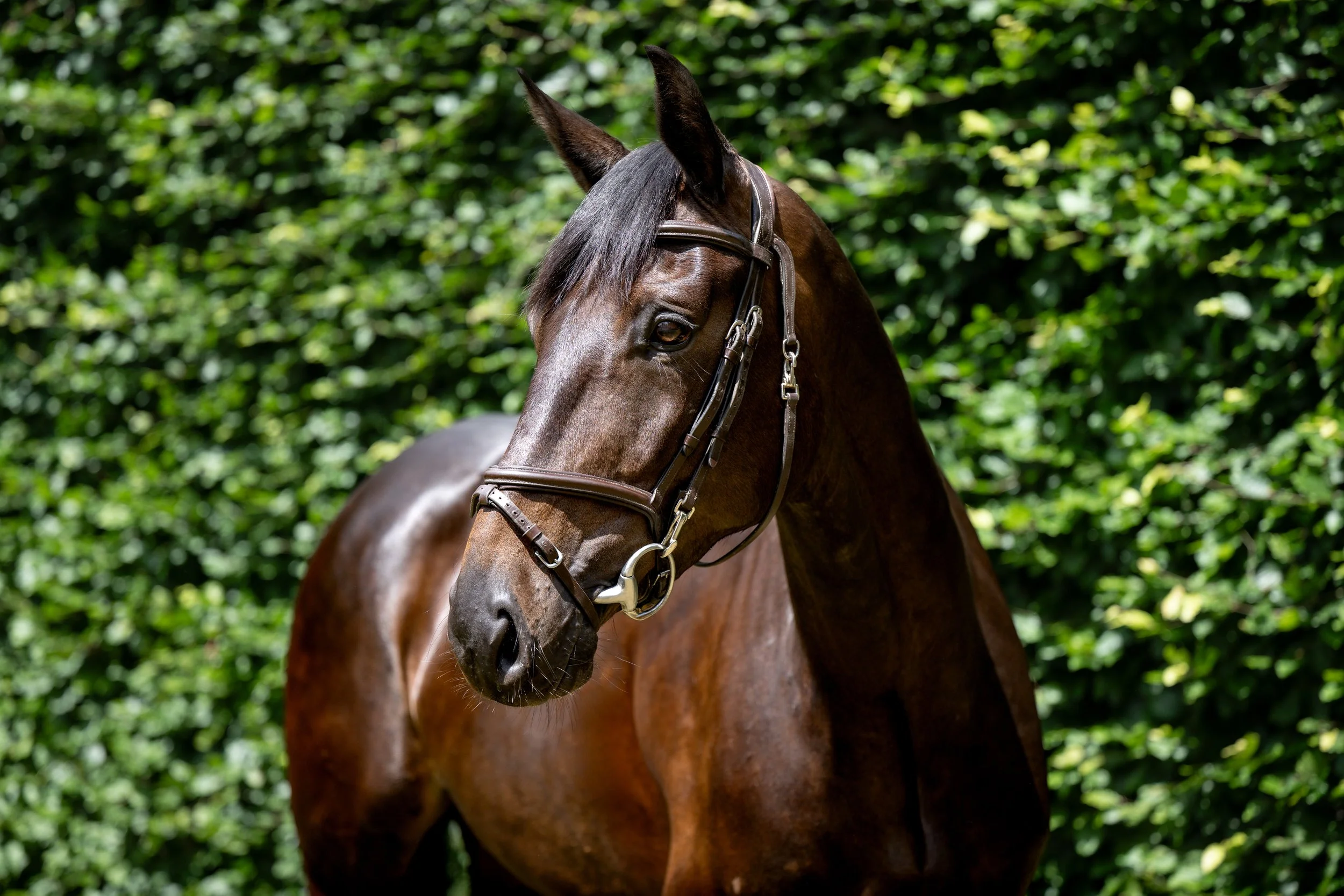 ALSHIRAAA_4YR©HelenCruden2025-44.jpg