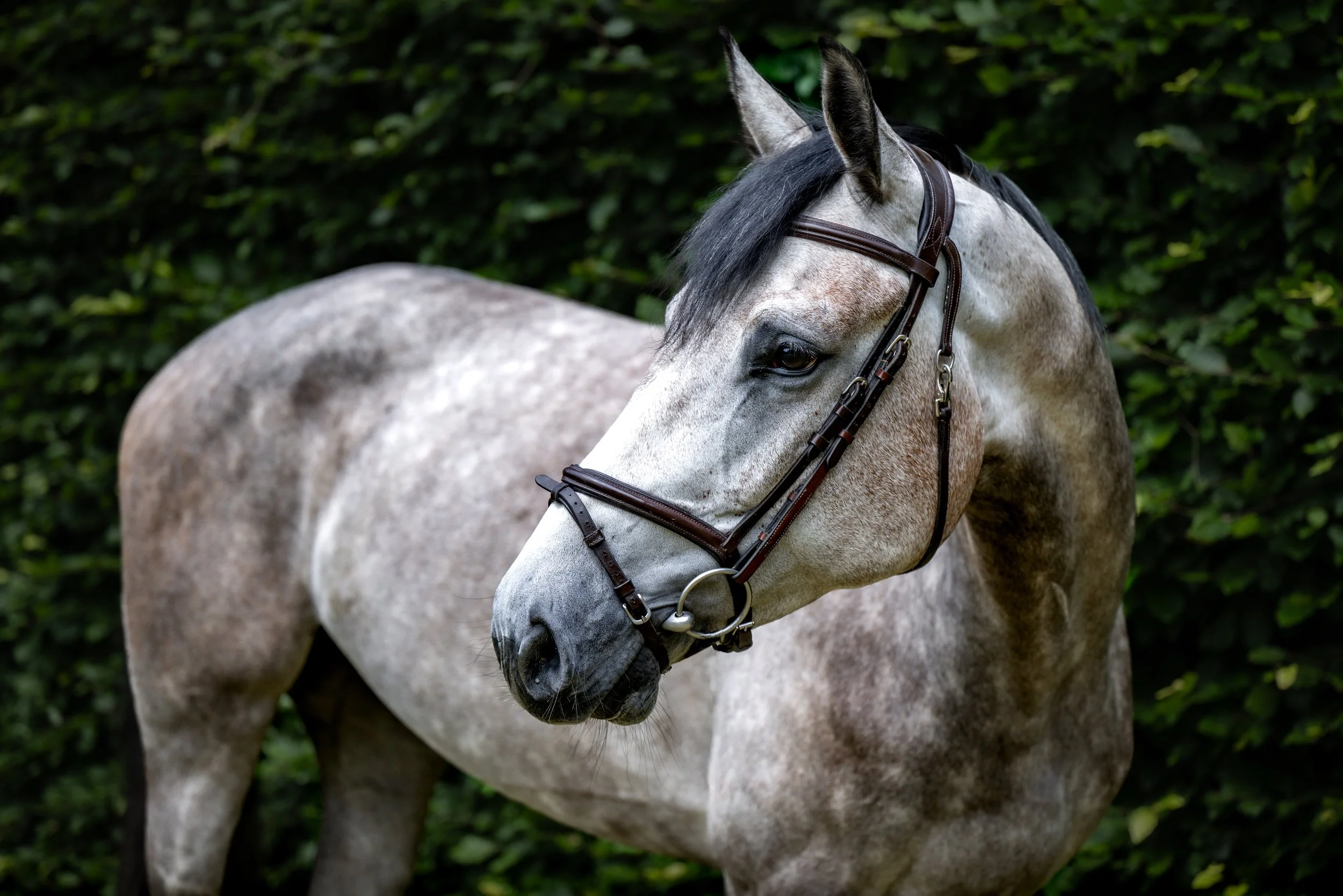 ALSHIRAAA_4YR©HelenCruden2025-52.jpg
