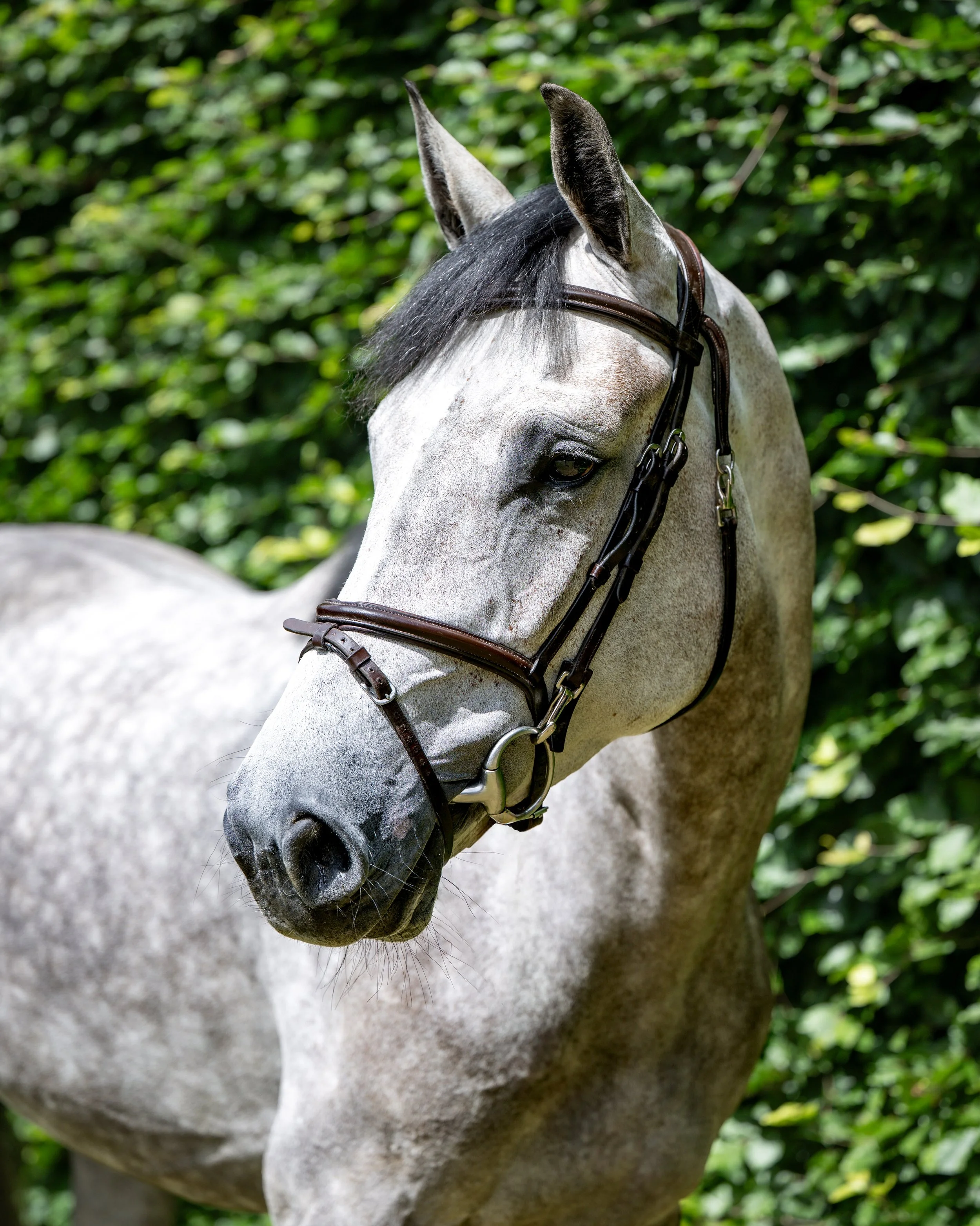ALSHIRAAA_4YR©HelenCruden2025-38.jpg