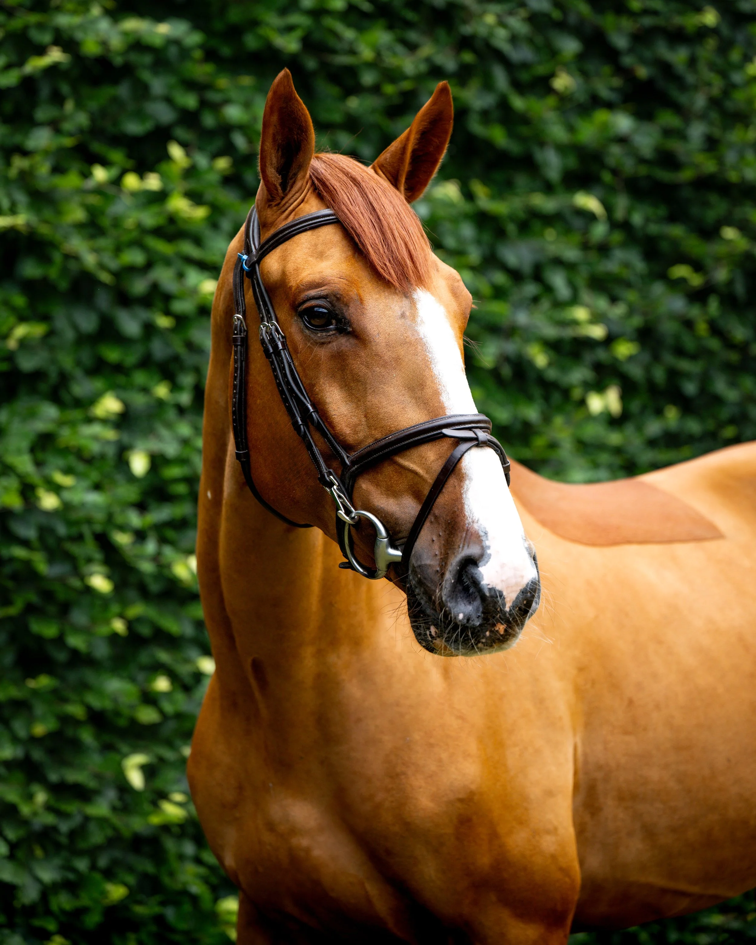 ALSHIRAAA_4YR©HelenCruden2025-35.jpg