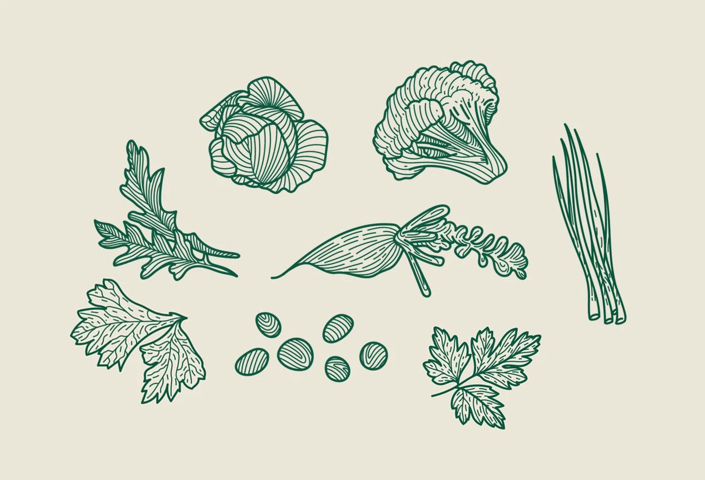 Branding | Microgreen