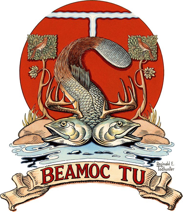 Beamoc TU Events — Beamoc TU