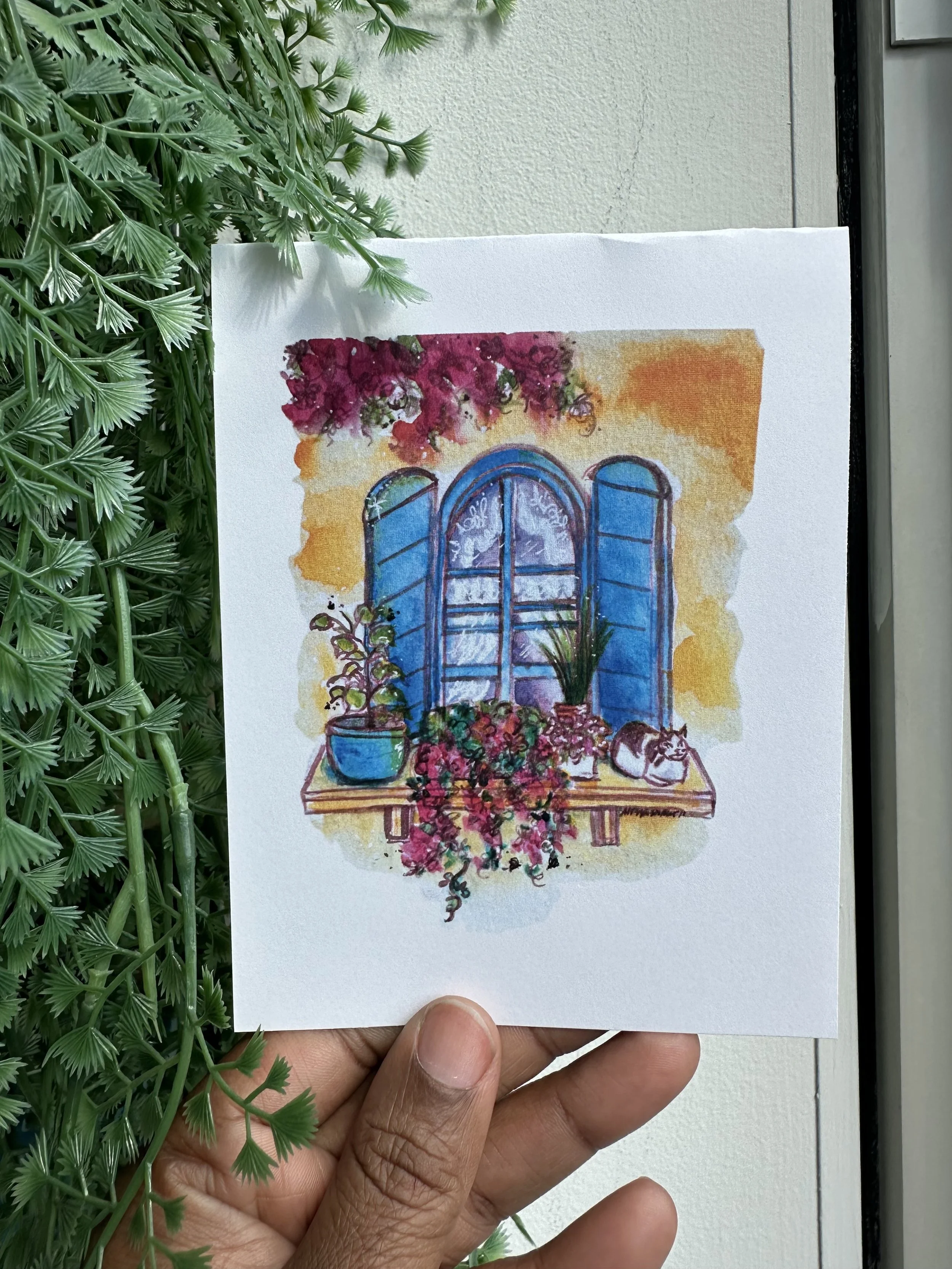 Bougainvillea window.jpg