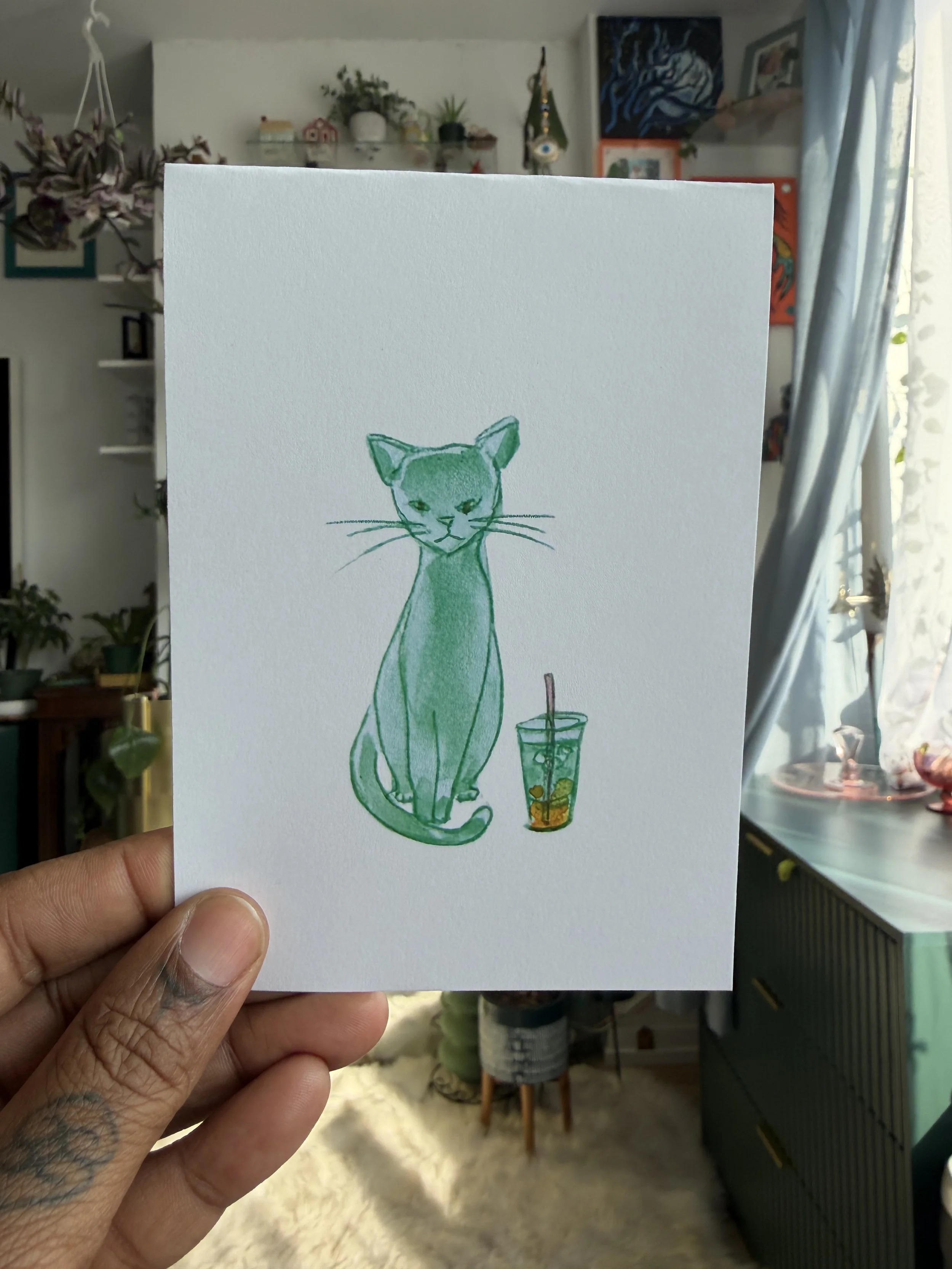 Mango Matcha Meowi-Matcha Cats