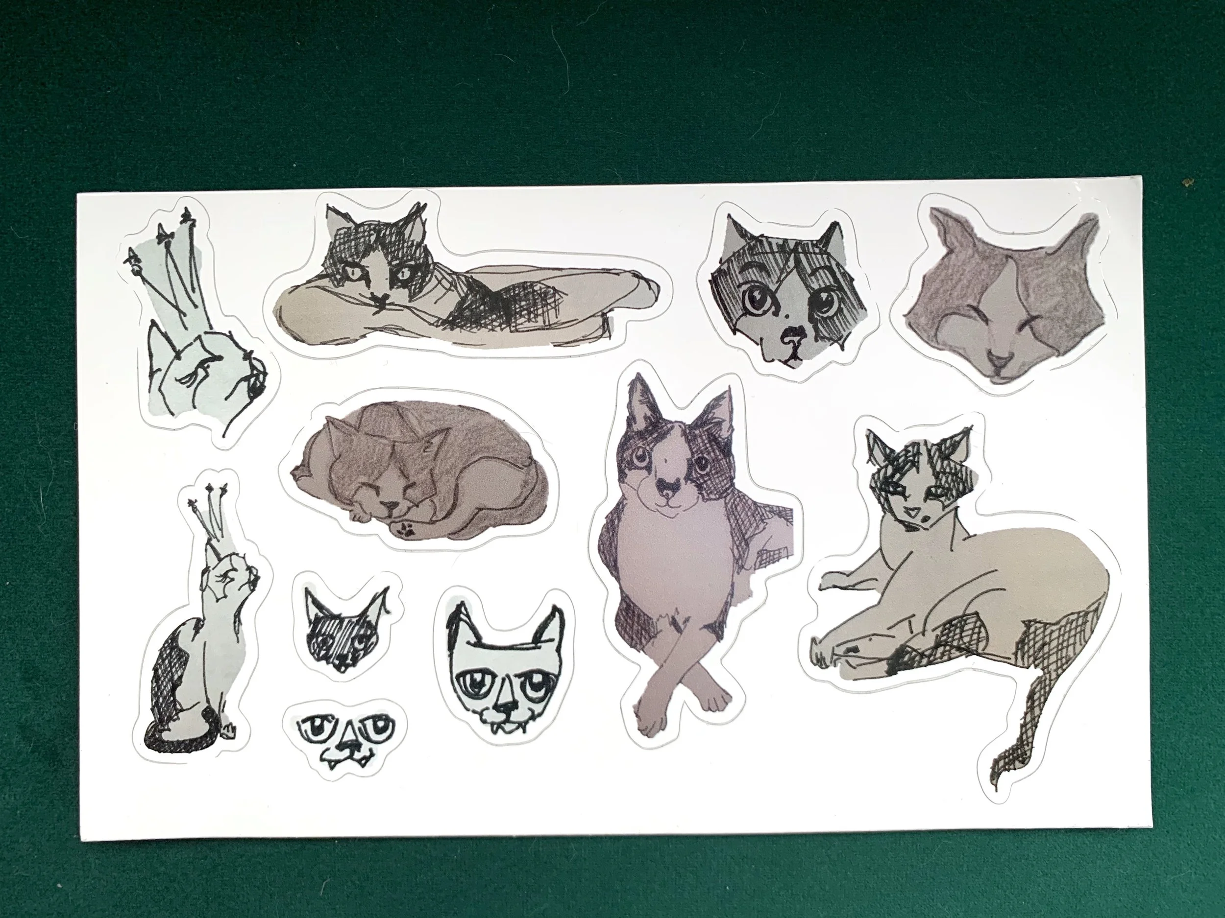 Kitty Sketch Sticker Sheet