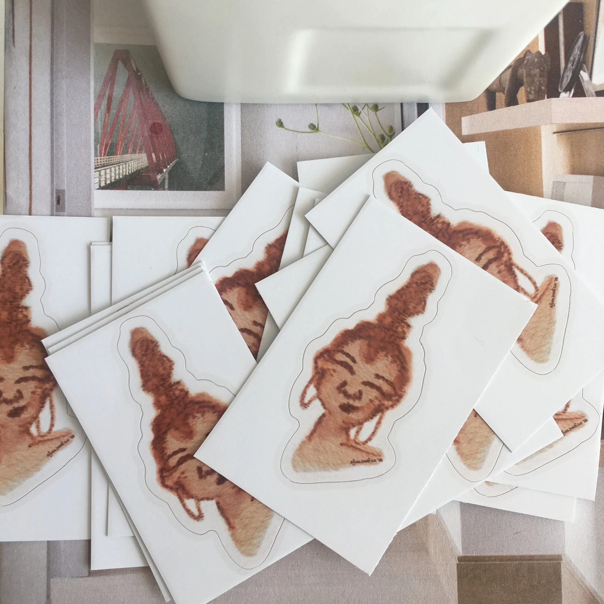 You're Pretty For A Black Girl (Macroaggressions Collection)