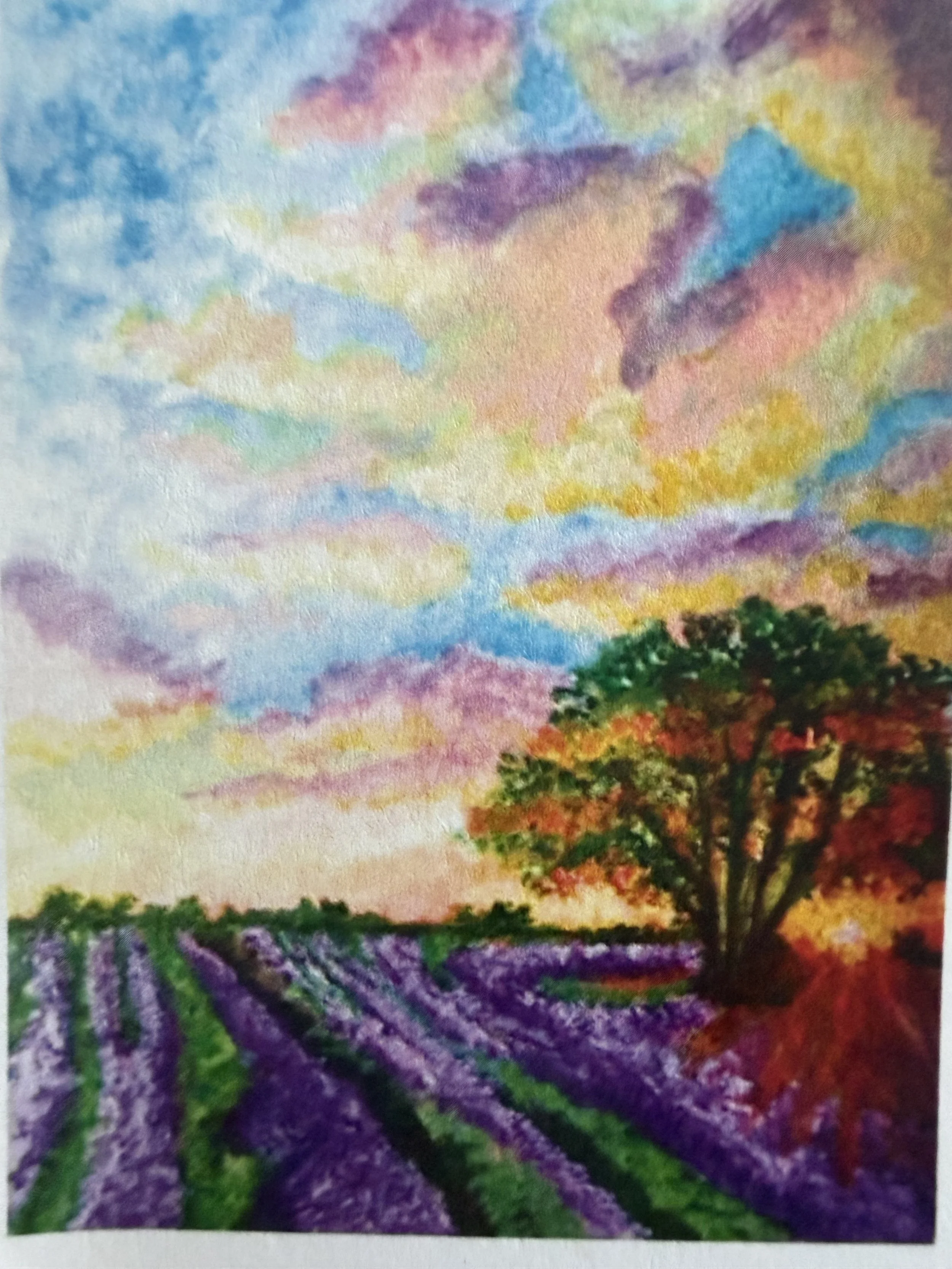 lavender fields upcl.jpg