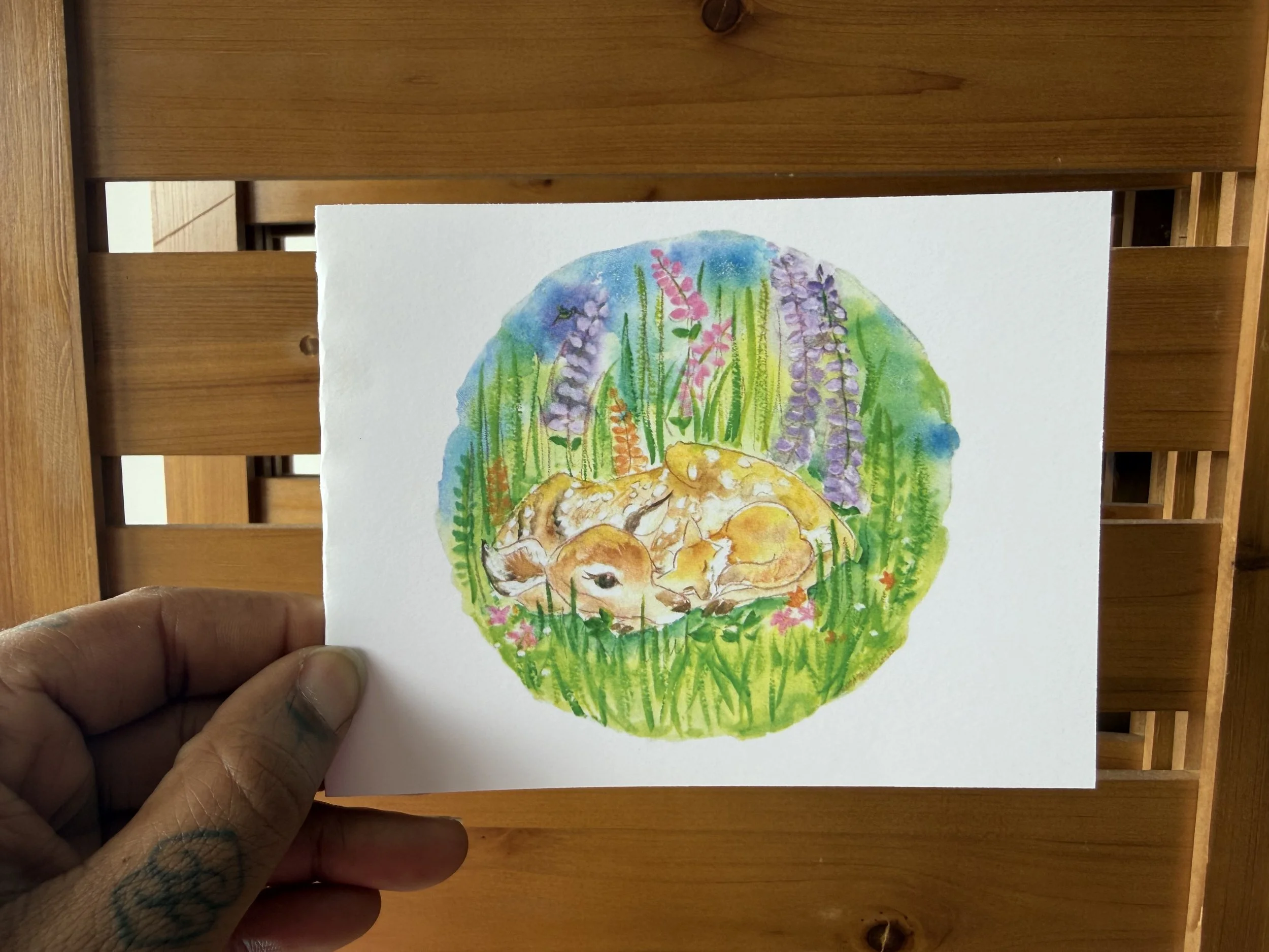 Fawn and Fox.jpg