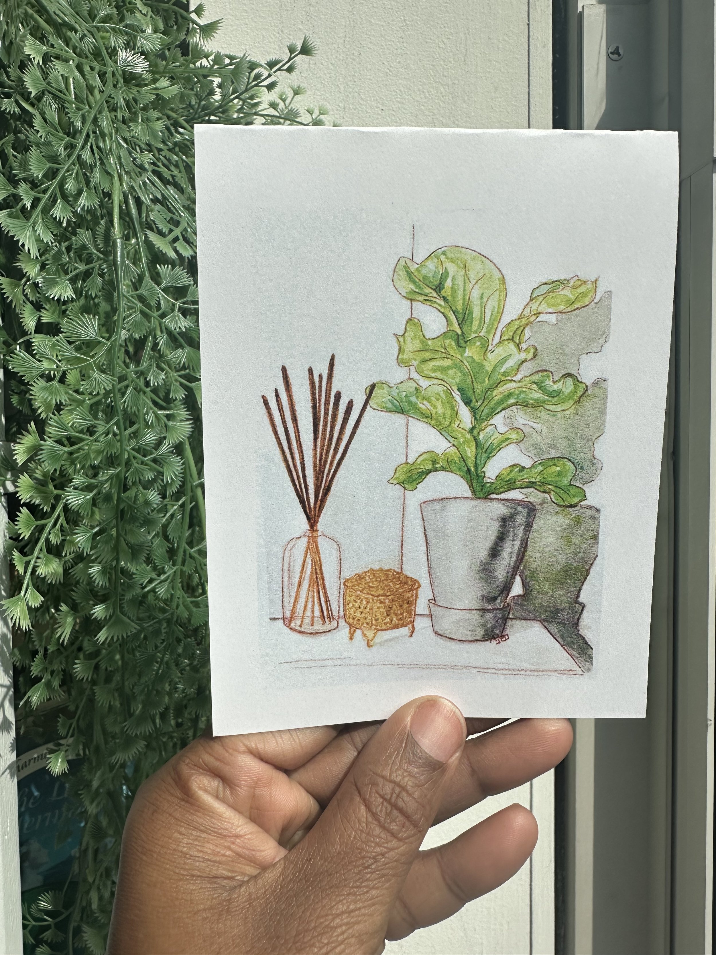 fiddle plant incense v.jpg