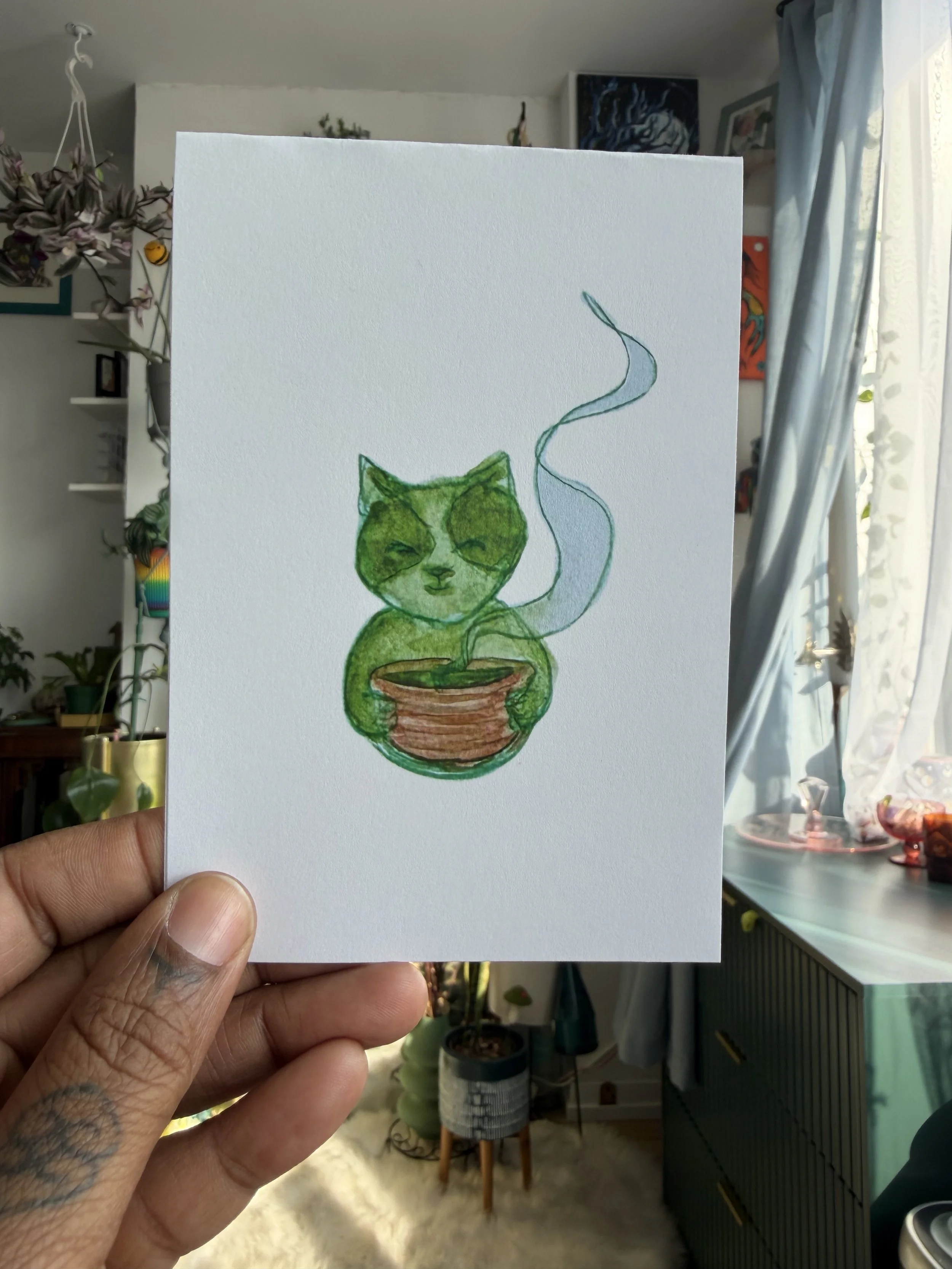 Green wtih Matcha-Matcha Cats
