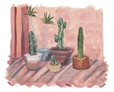 Southwest succulents .jpg